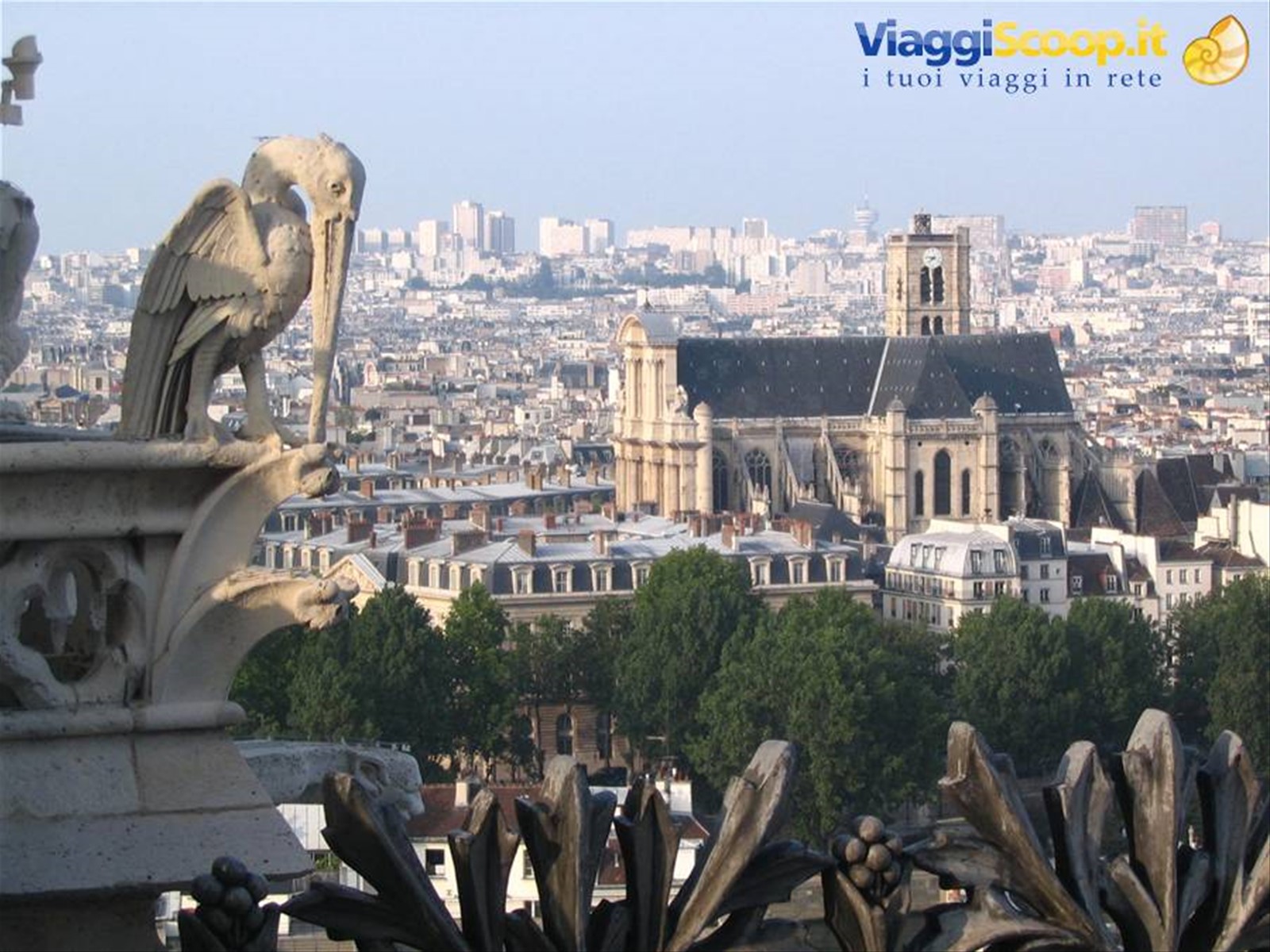 Foto di viaggio in FRANCIA