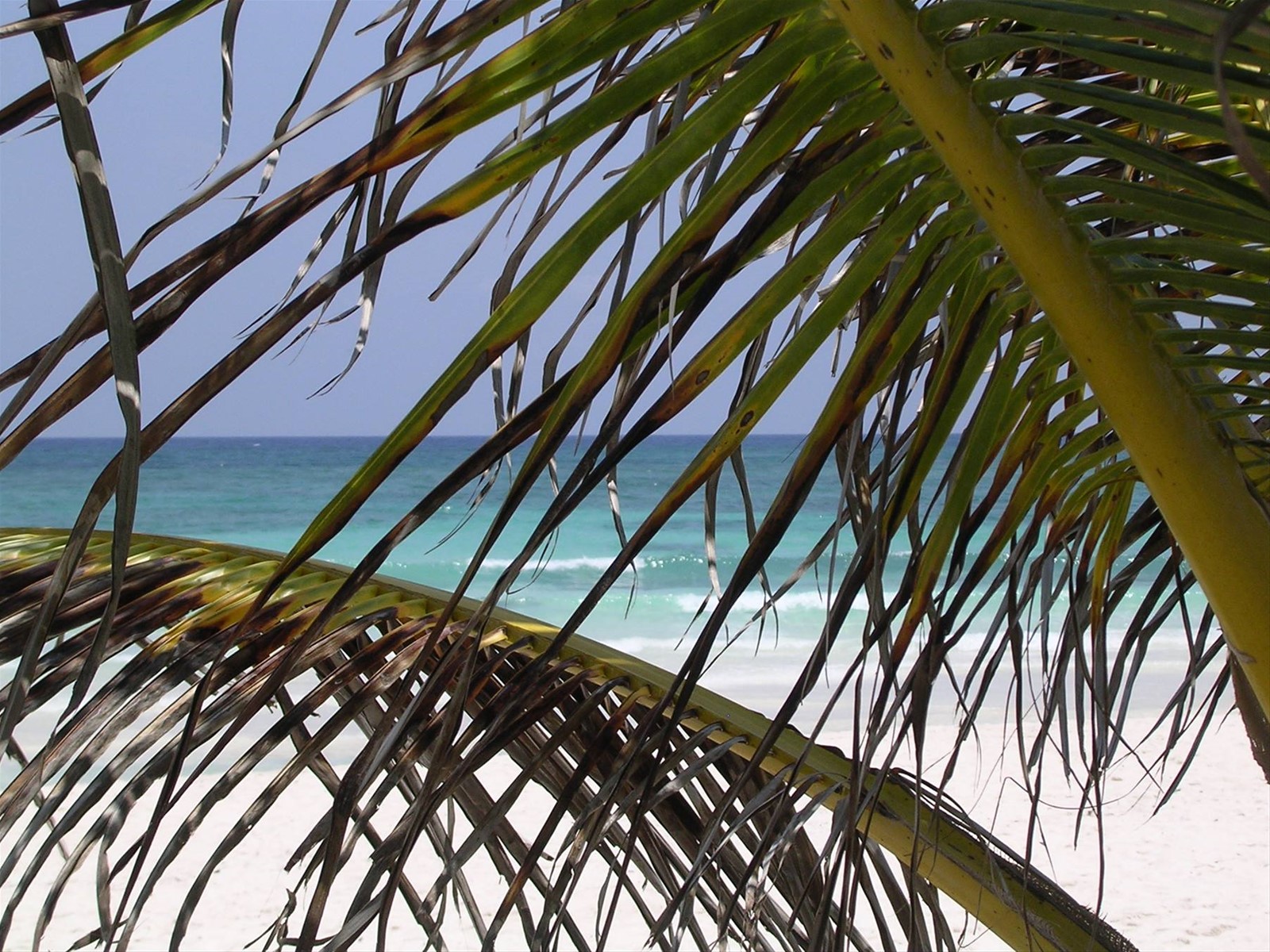 Playa Copacabana