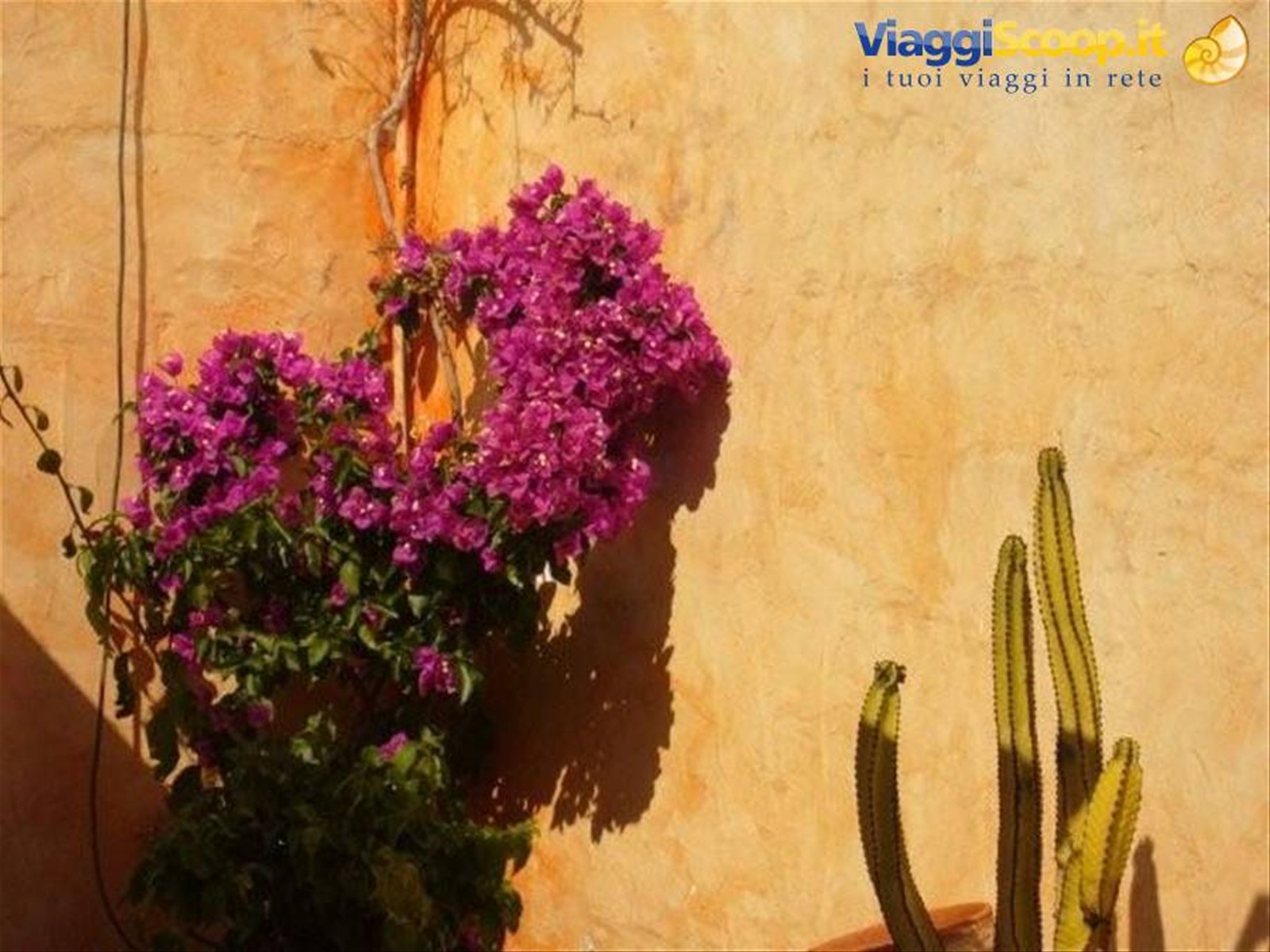Foto di viaggio in SPAGNA