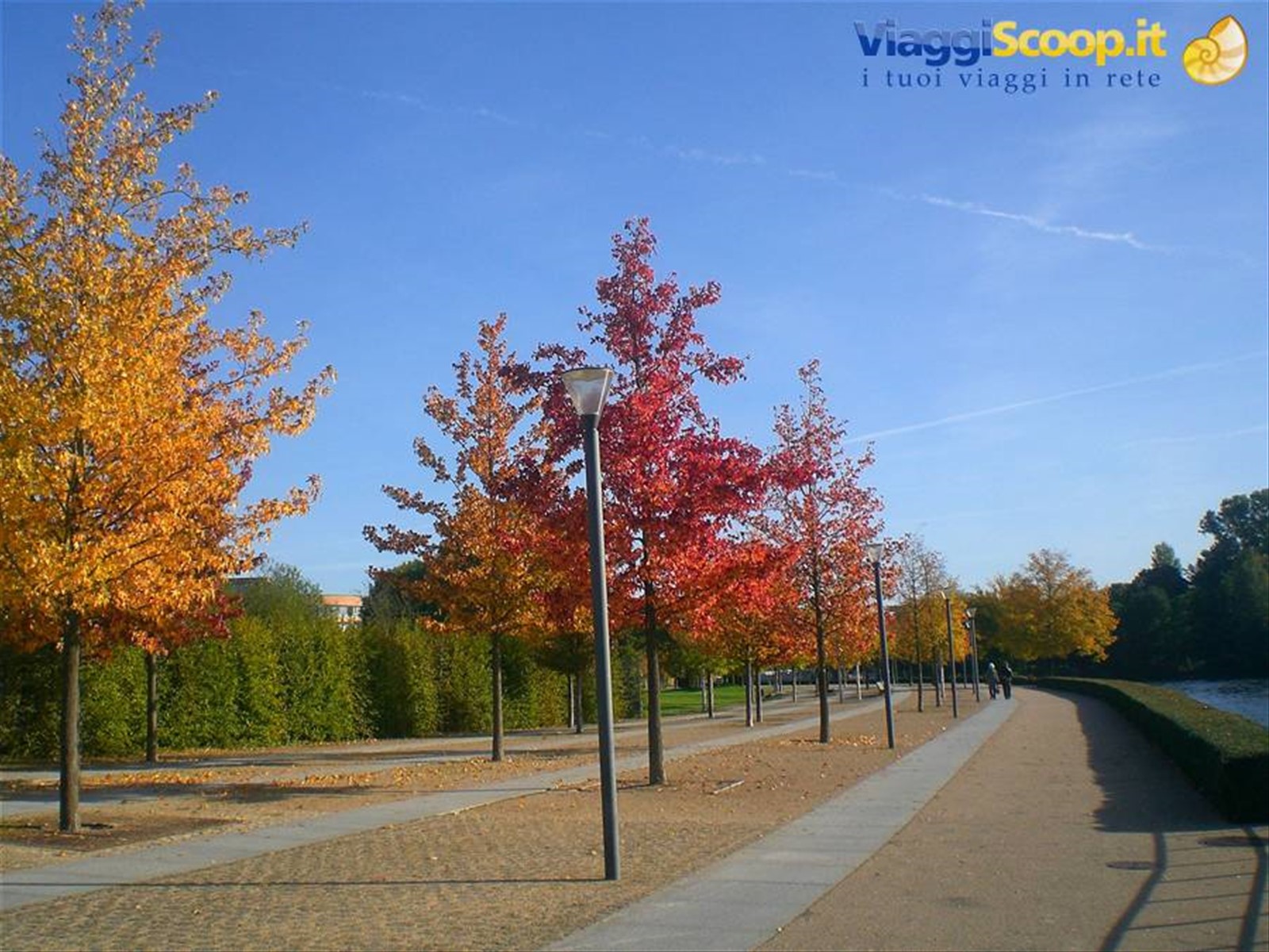 L'autunno sulla Sprea