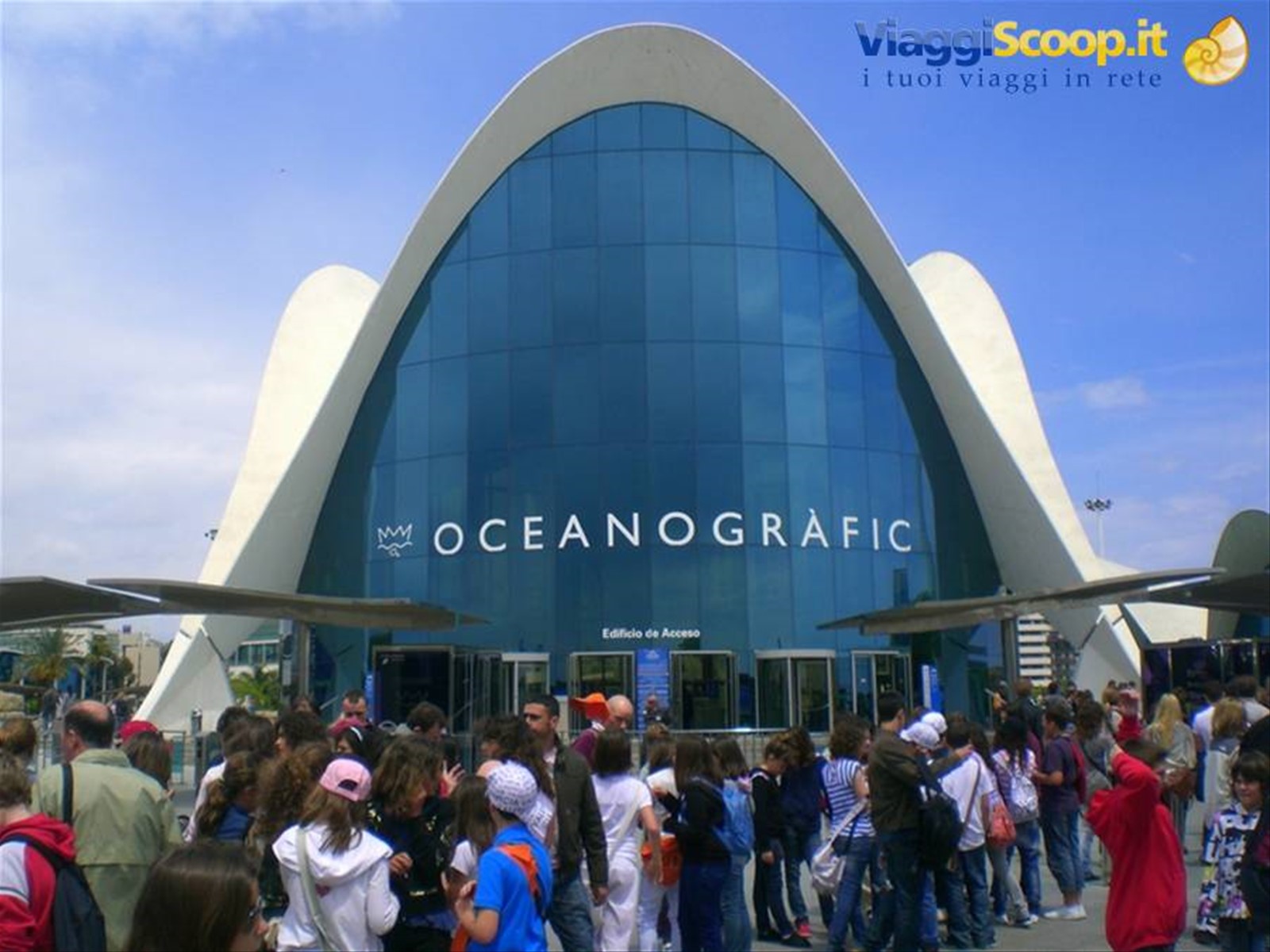 Oceanografico