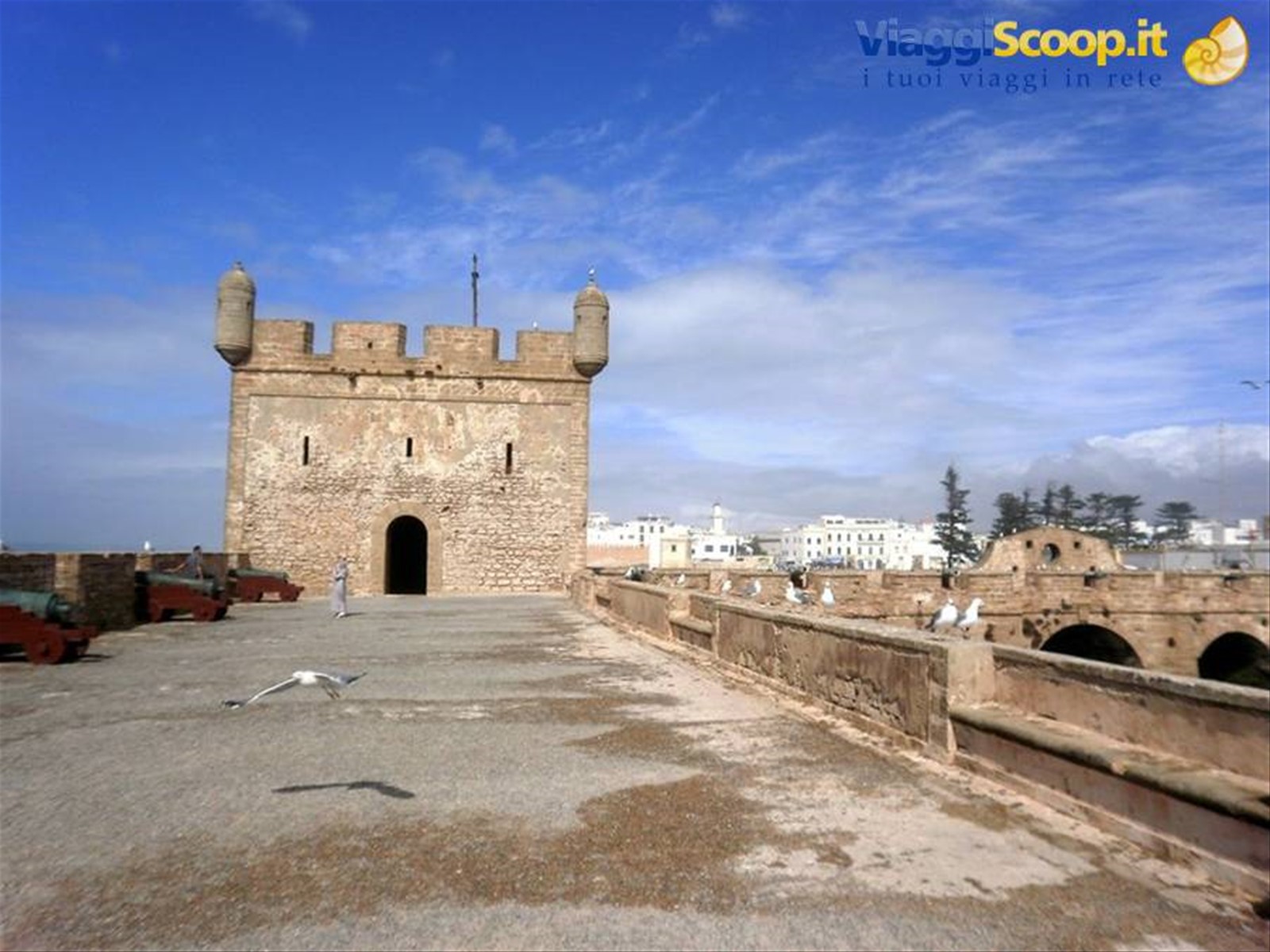 bastioni