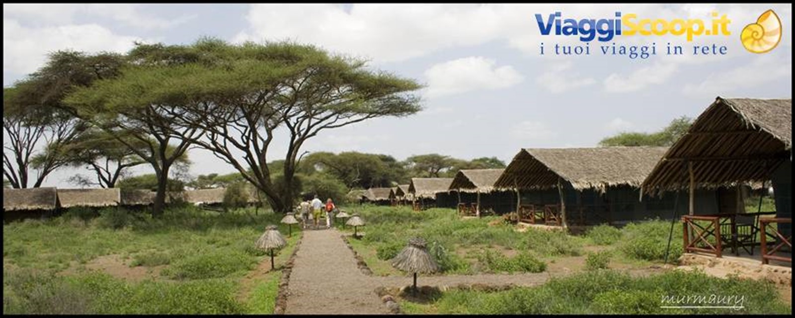 Amboseli - il Kibo Safari Camp 2