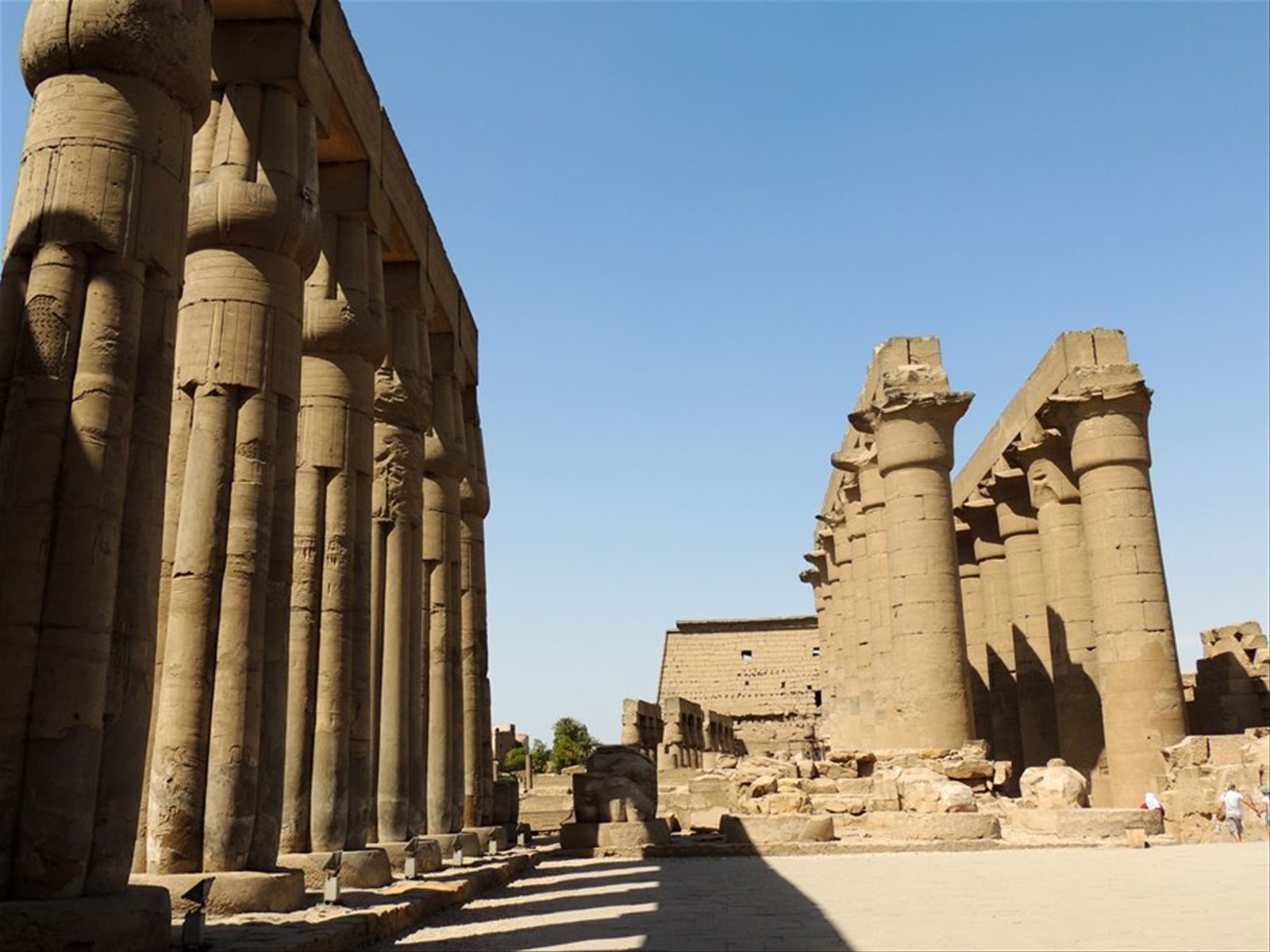 Luxor - Il Tempio di Amon Ra