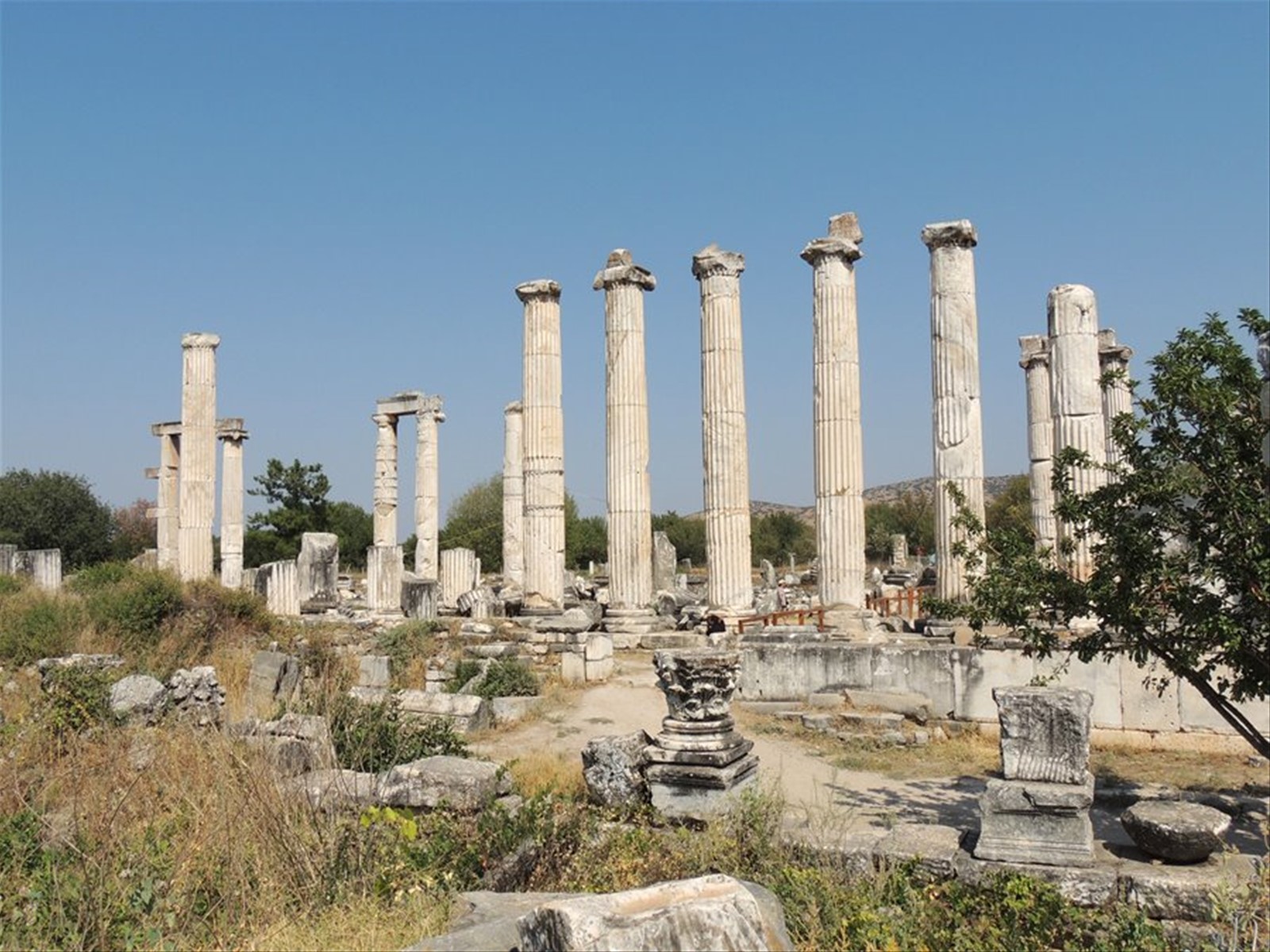 Aphrodisia - il Tempio di Afrodite
