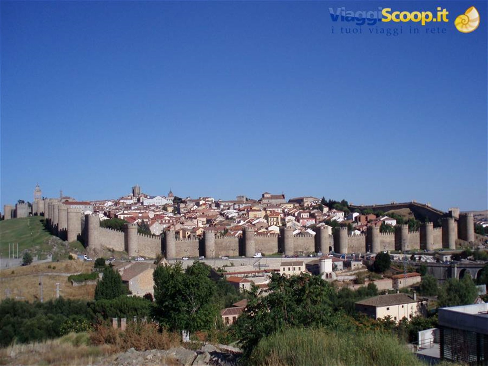 Avilia