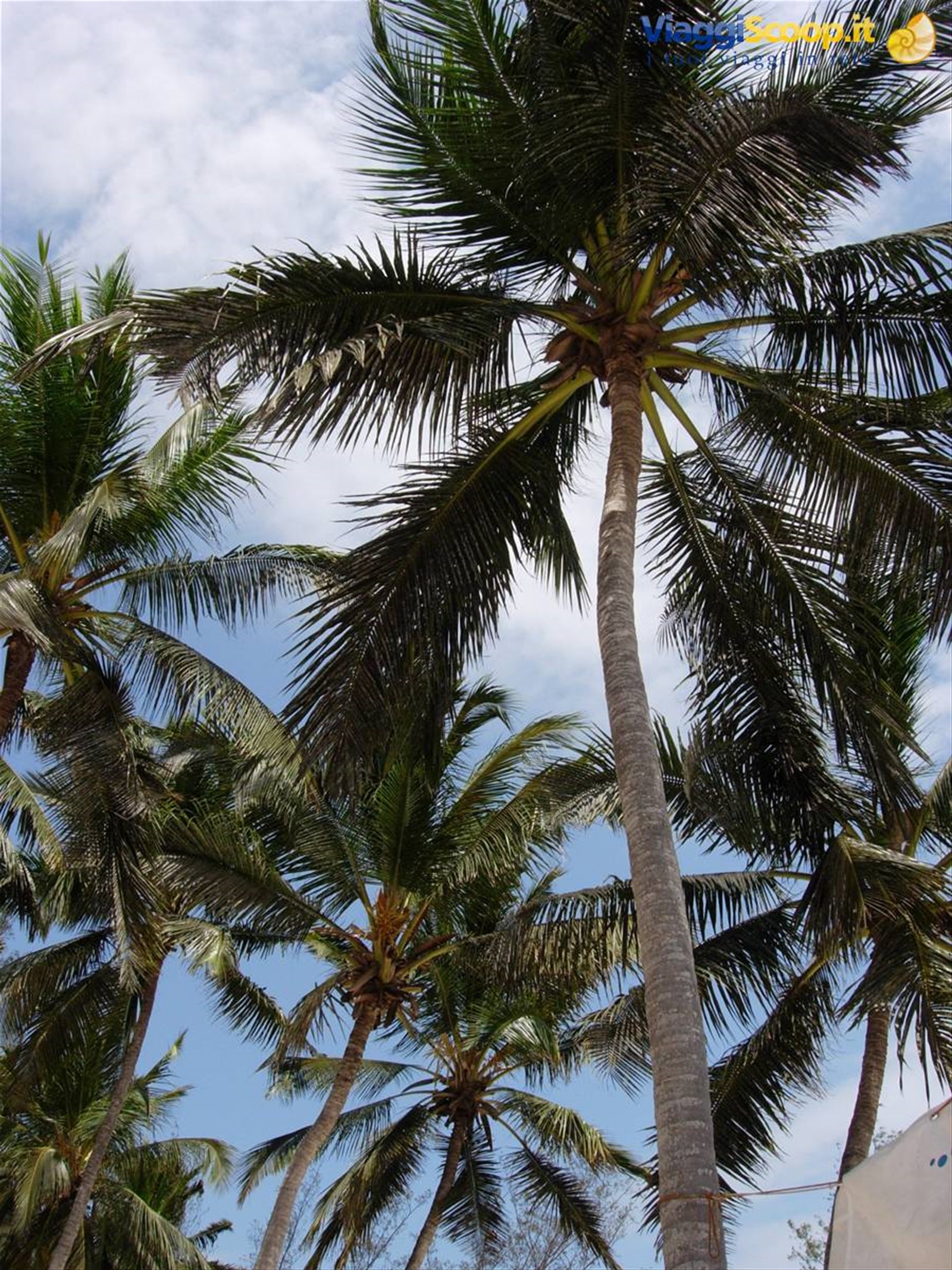 Foto di viaggio in TANZANIA