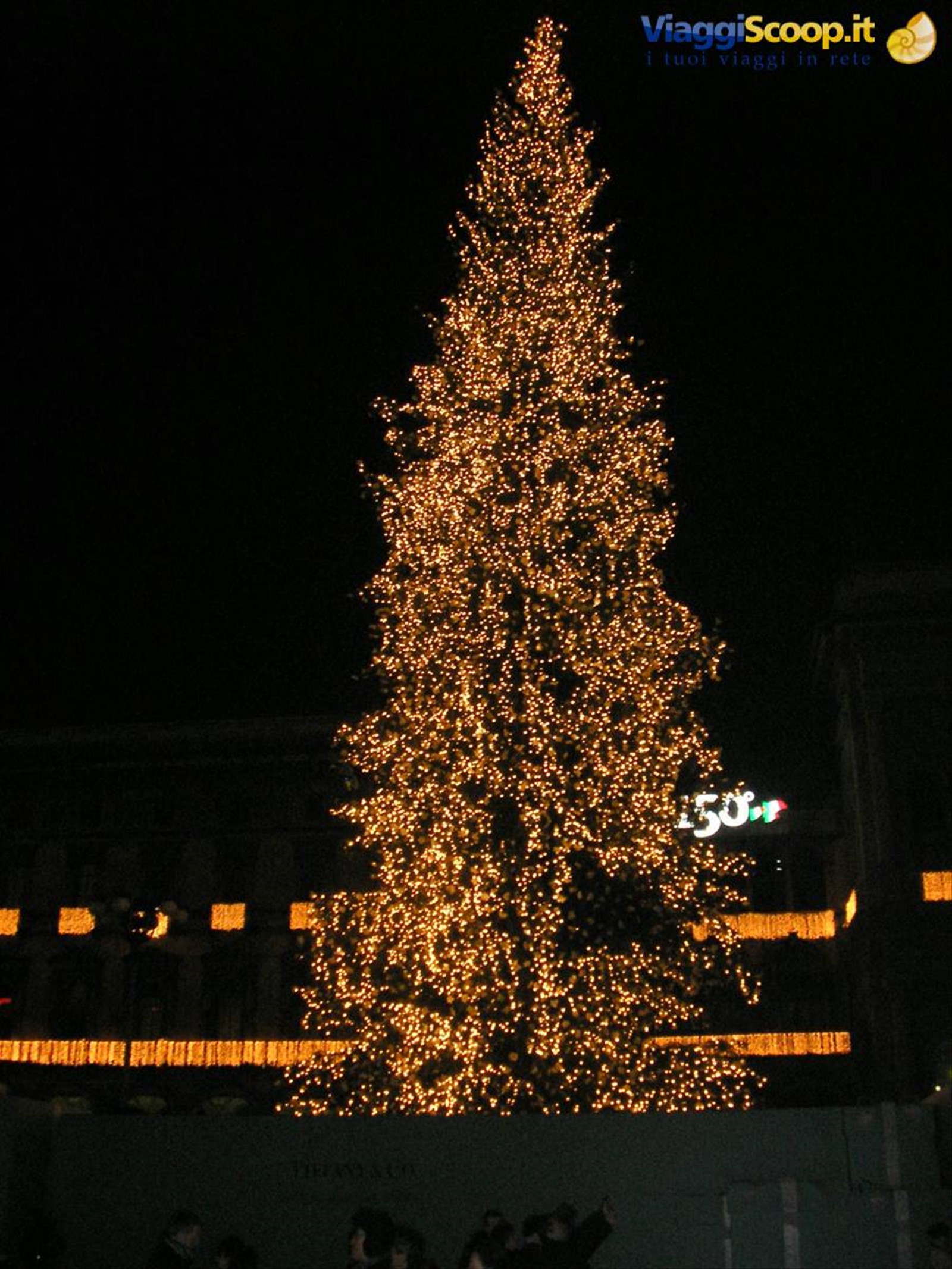 l'albero di natale di piazza del duomo