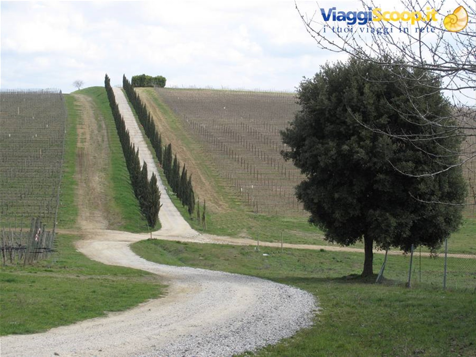 panorama Chianti senese
