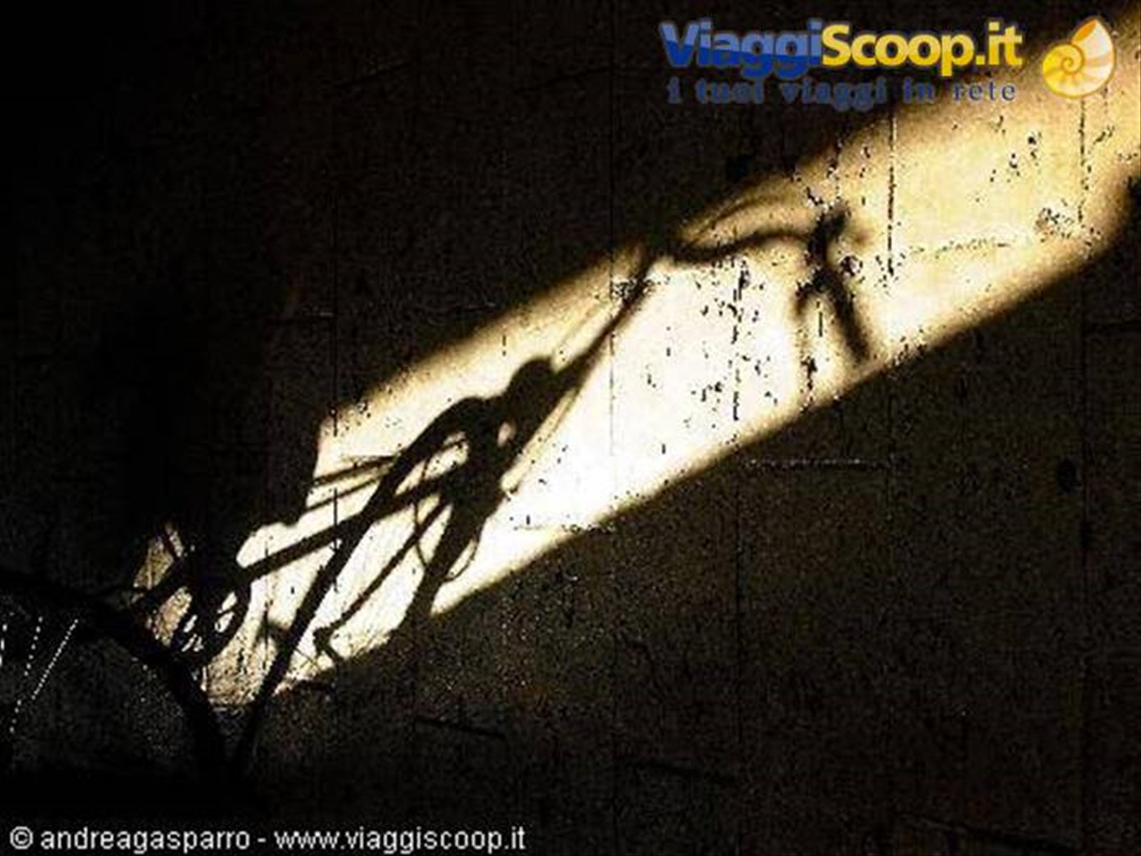 Bici