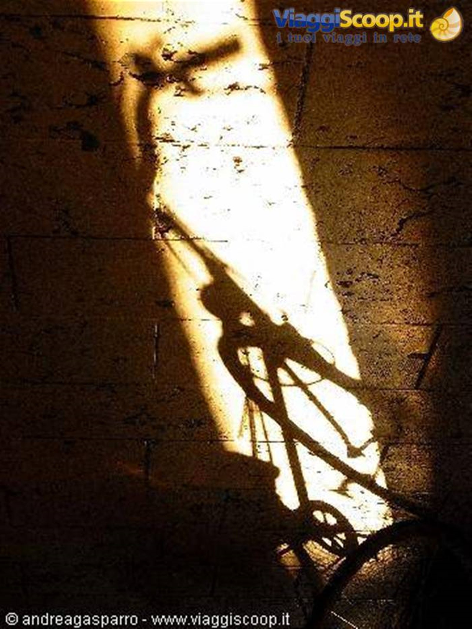 Bici