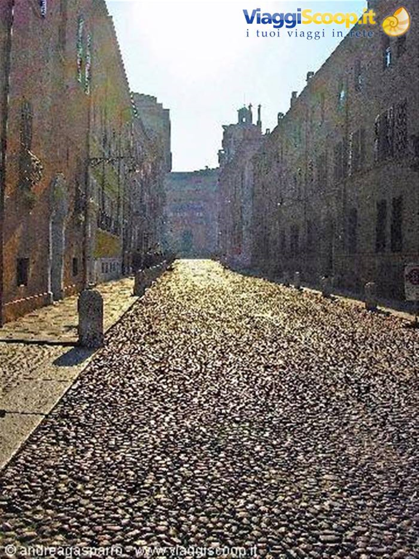 Strada per il museo