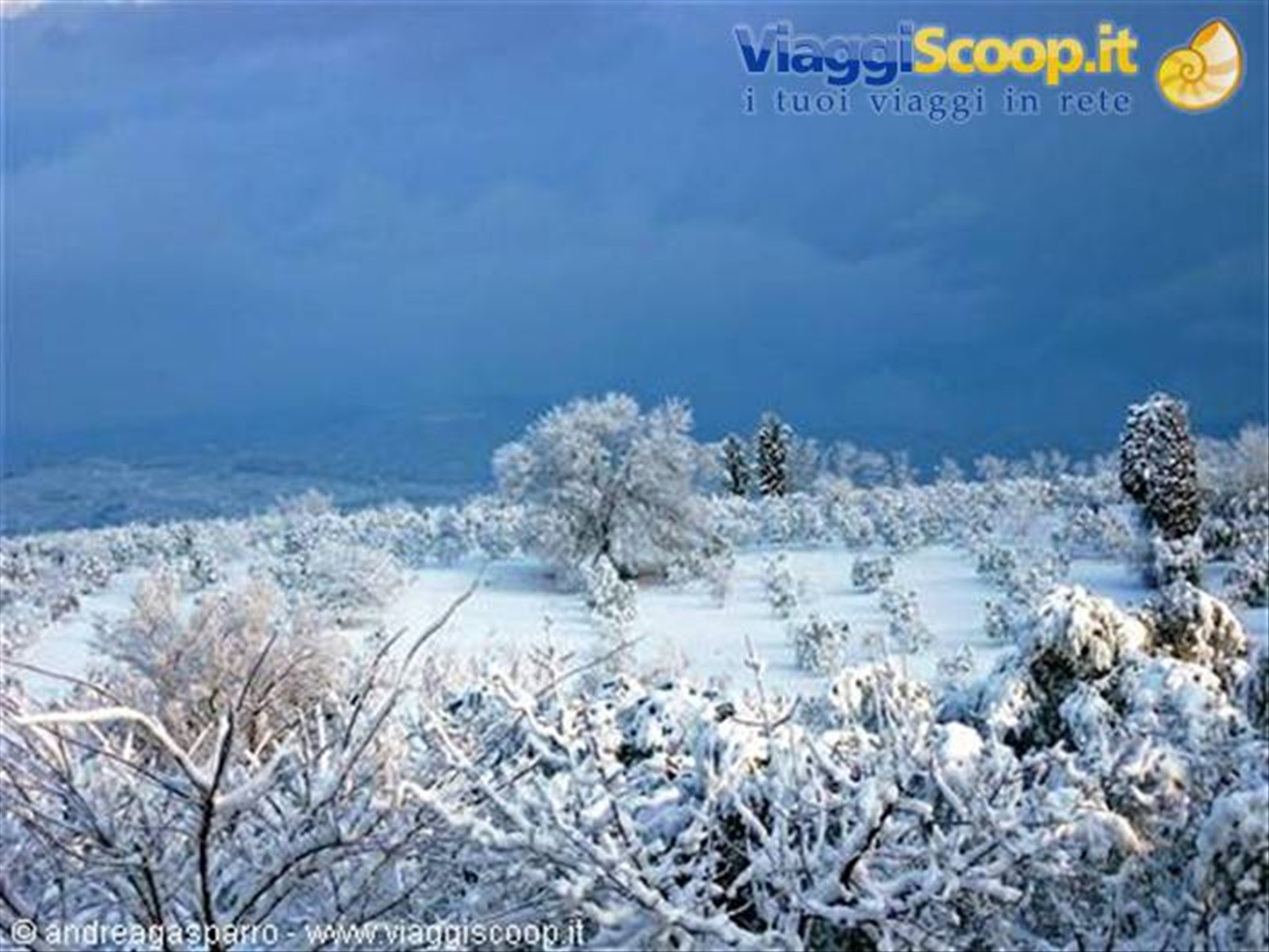 e con la neve