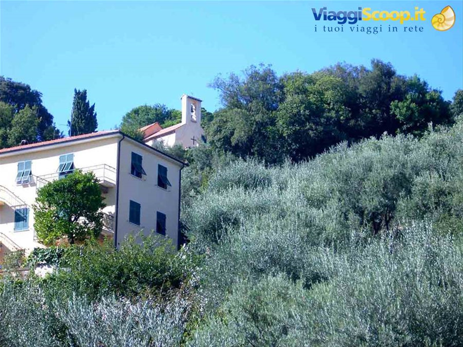 La Chiesa della Madonna degli Angeli che s'intravede tra gli ulivi