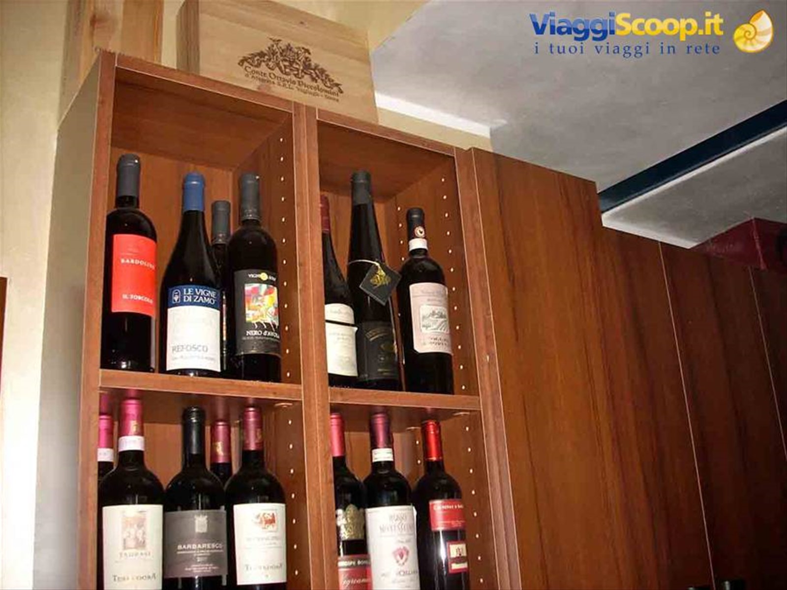 Alcune delle tante bottiglie dell'enoteca