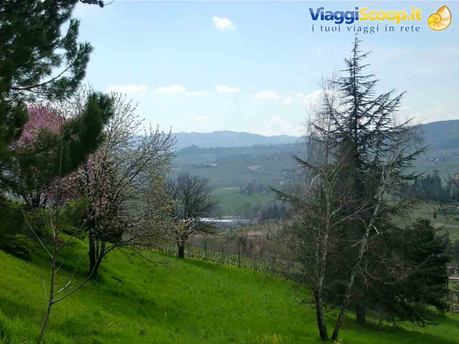 Panorama intorno a Costigliole d'Asti