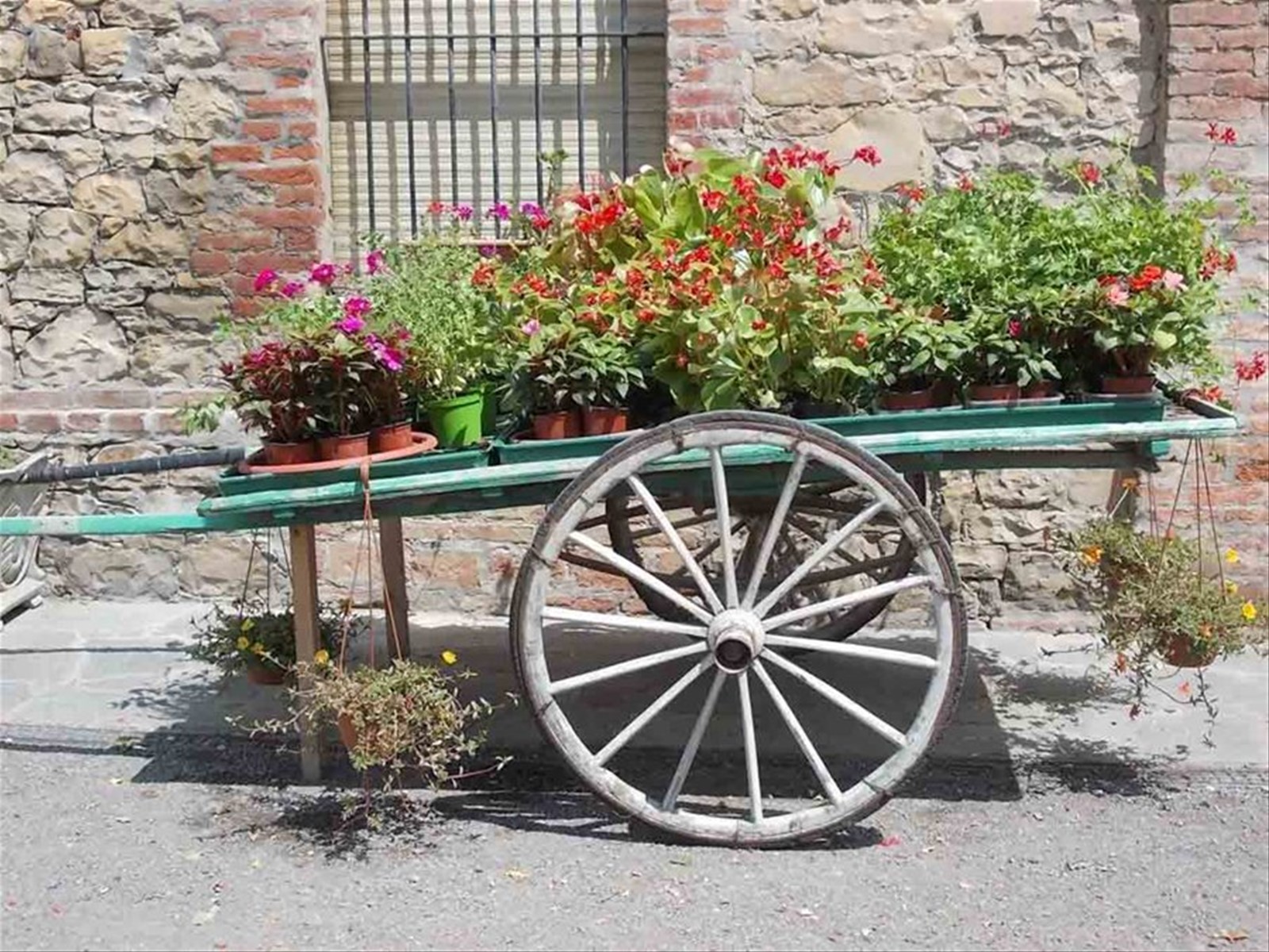 Foto di viaggio in ITALIA