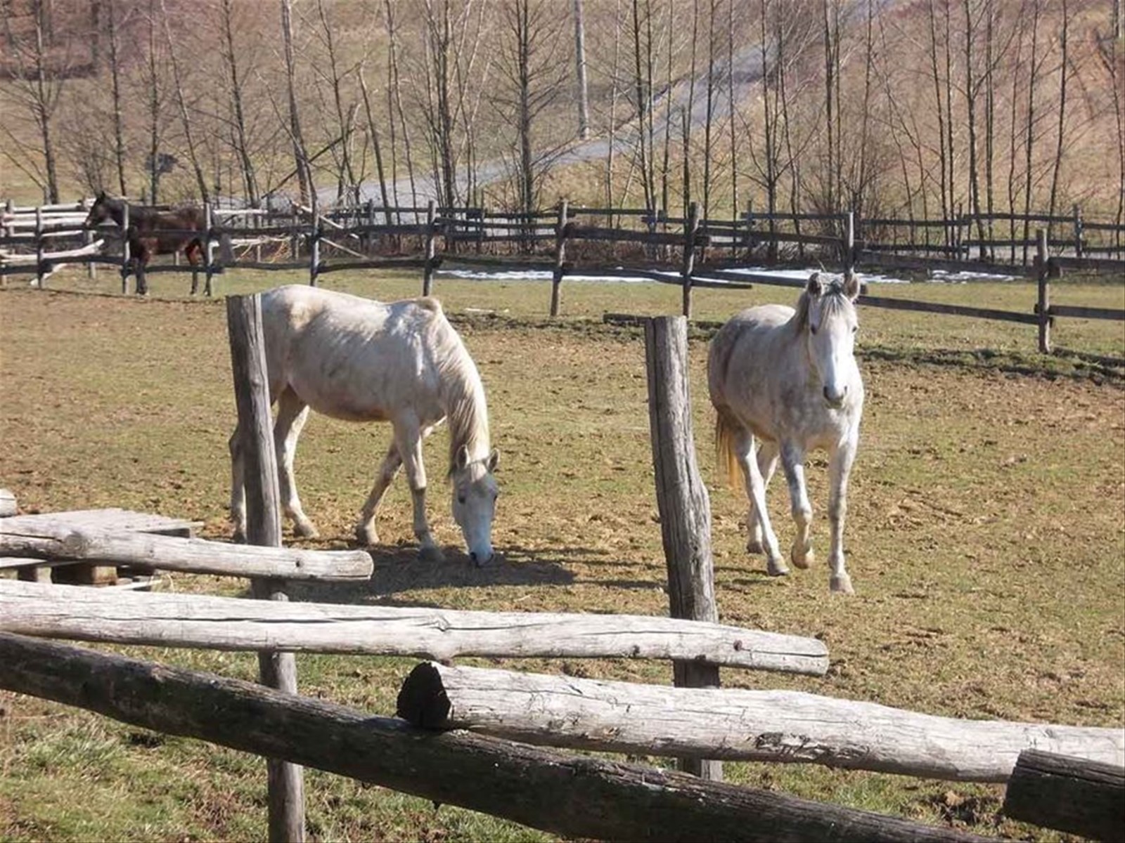 Foto di viaggio in ITALIA