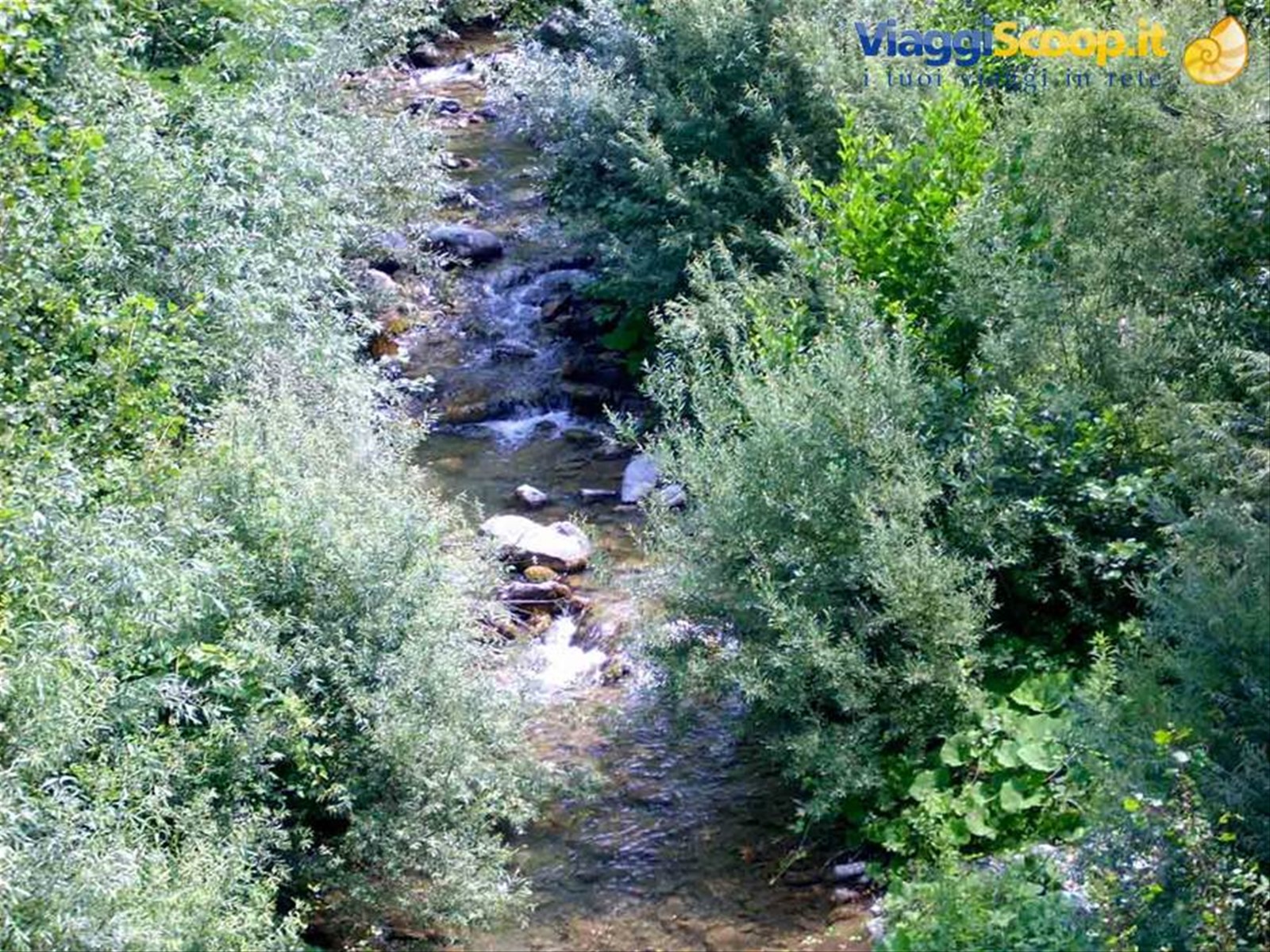 Il torrente Visone