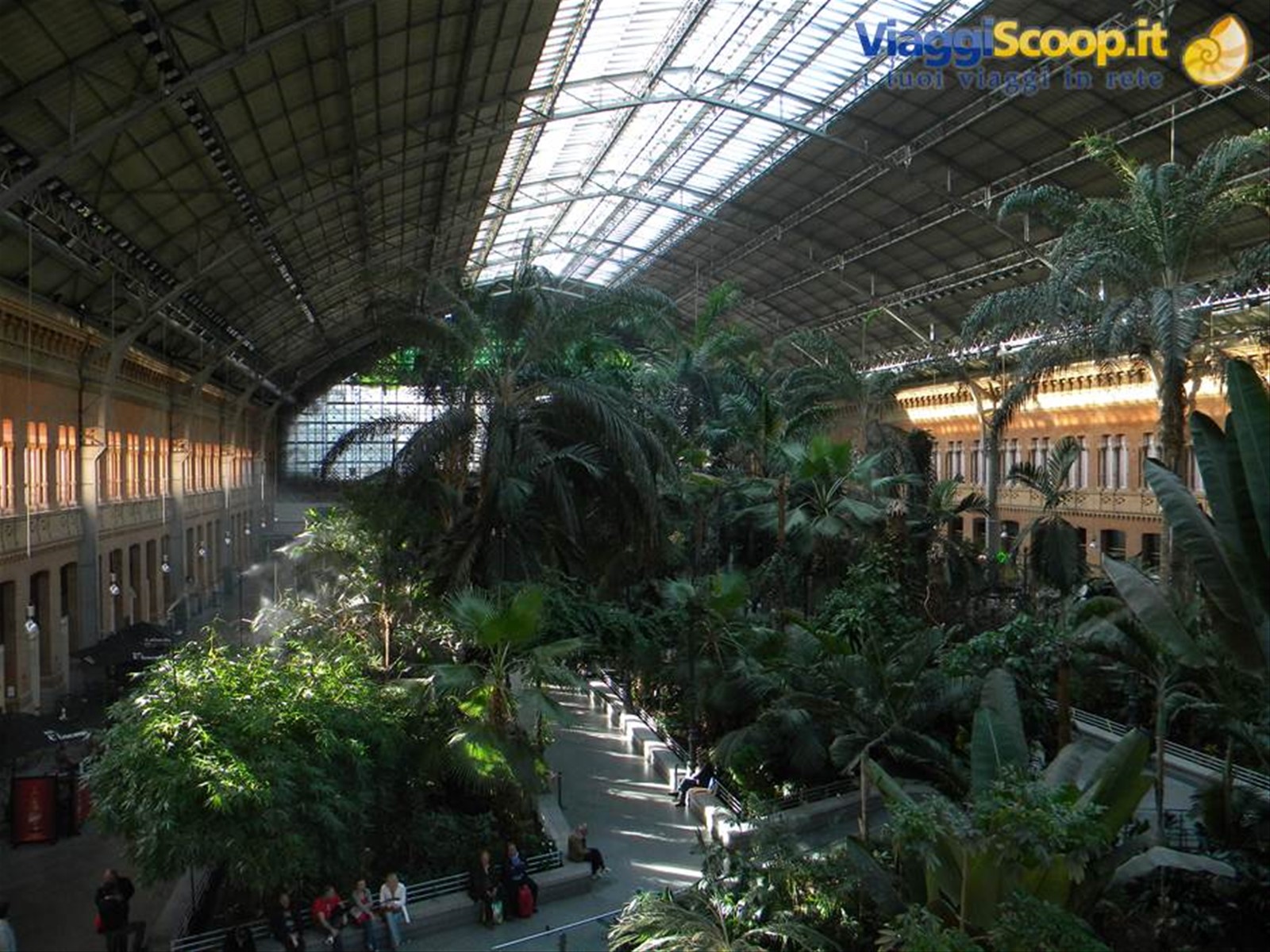 Foresta tropic...ooops, volevo dire Stazione di Atocha!