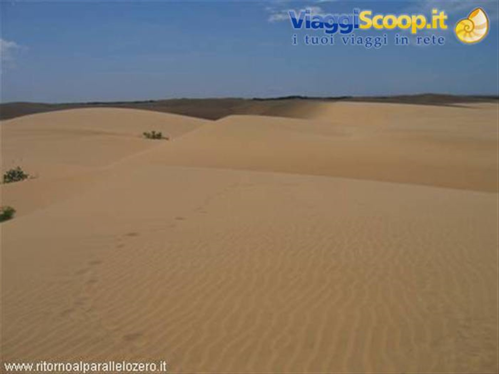 Dune