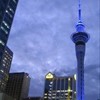 foto viaggio NUOVA ZELANDA