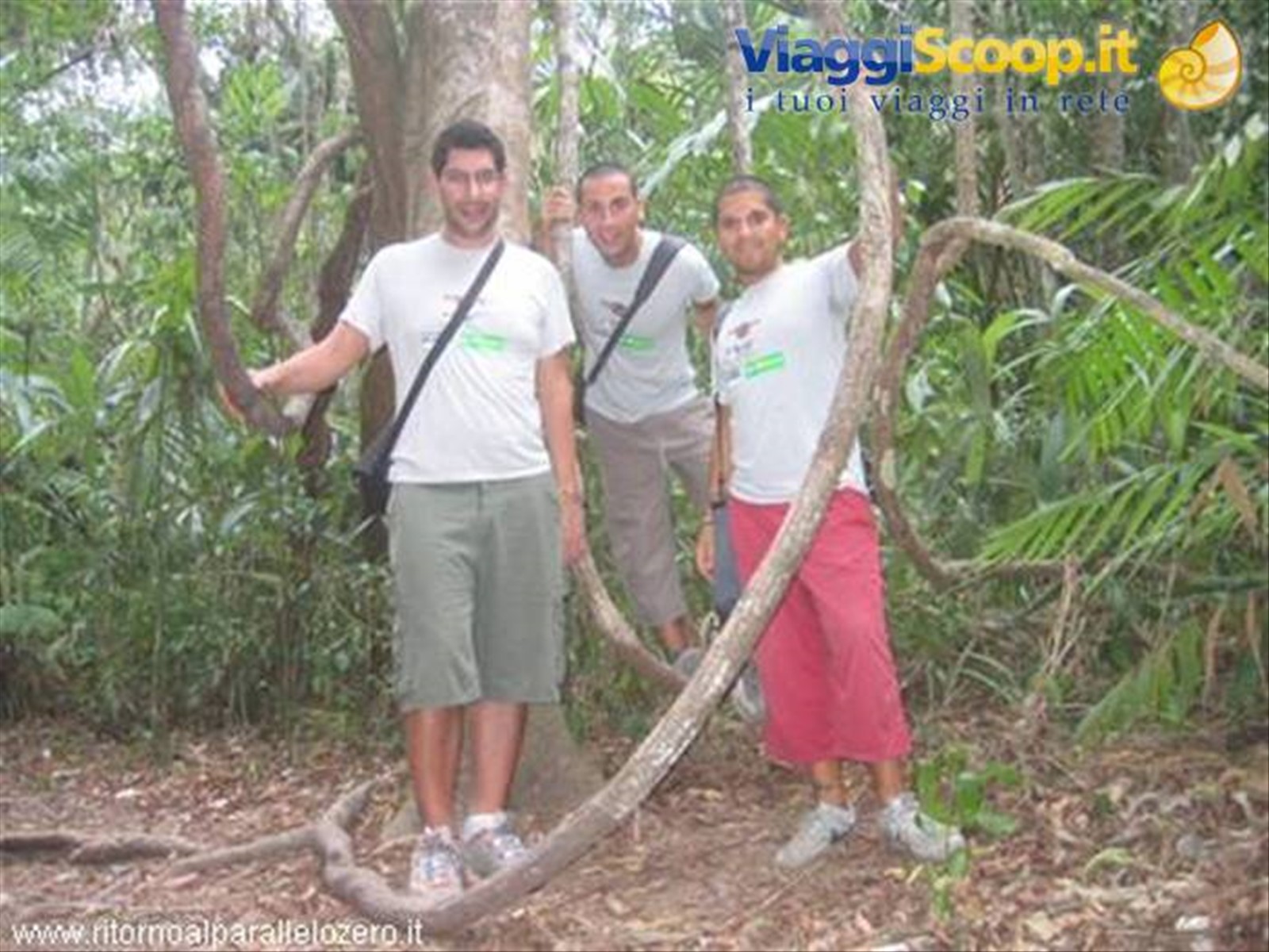 Tarzan tra le liane