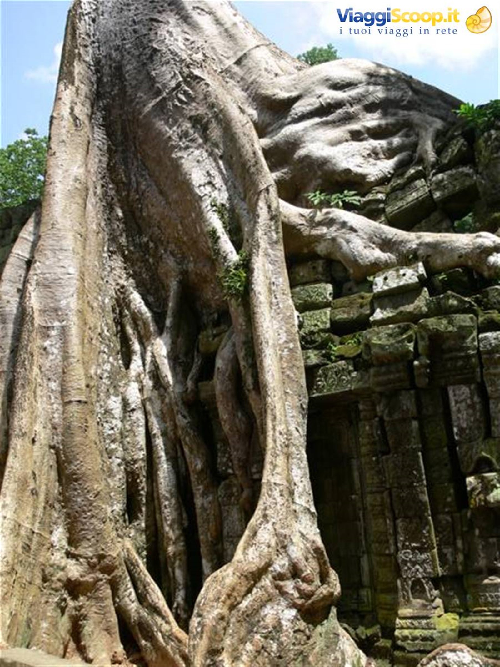 Foto di viaggio in CAMBOGIA