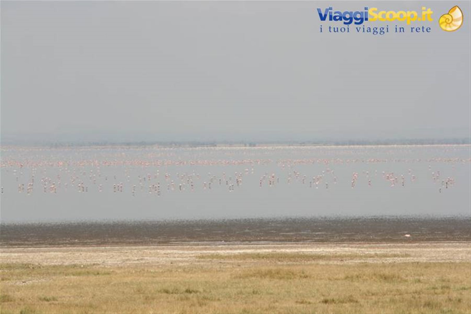 Foto di viaggio in TANZANIA