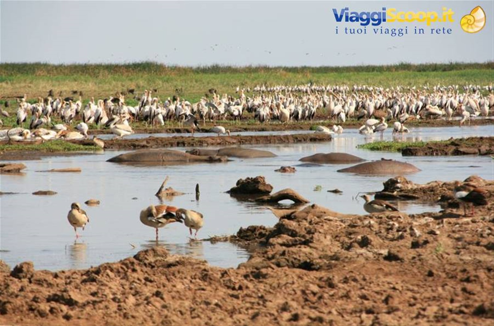 Foto di viaggio in TANZANIA