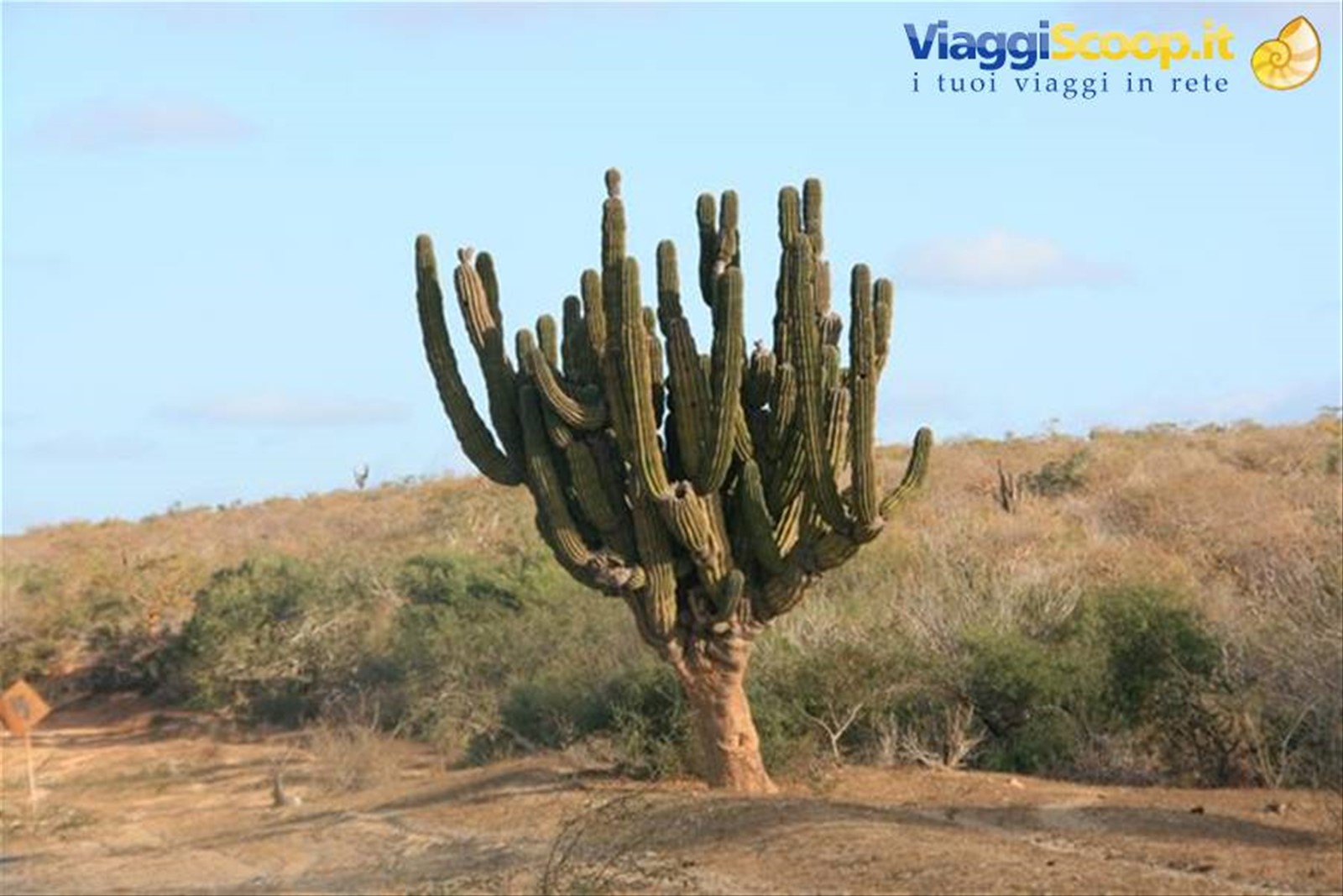 Foto di viaggio in MESSICO
