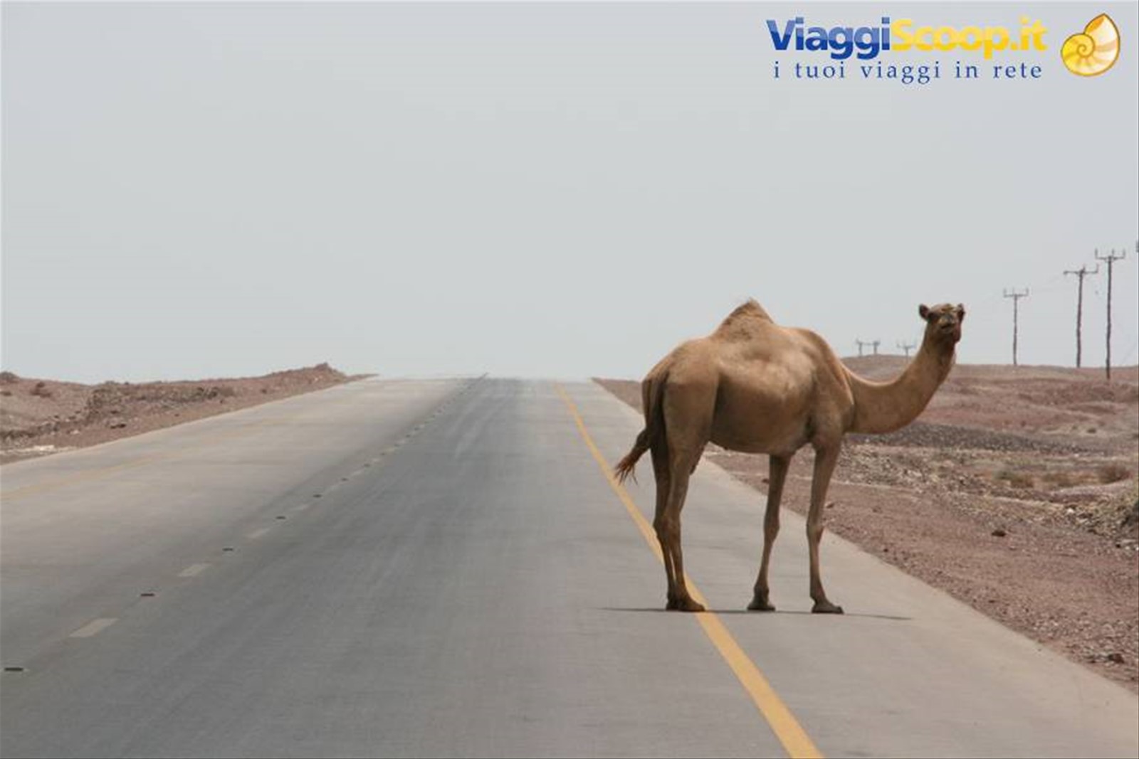 Foto di viaggio in OMAN
