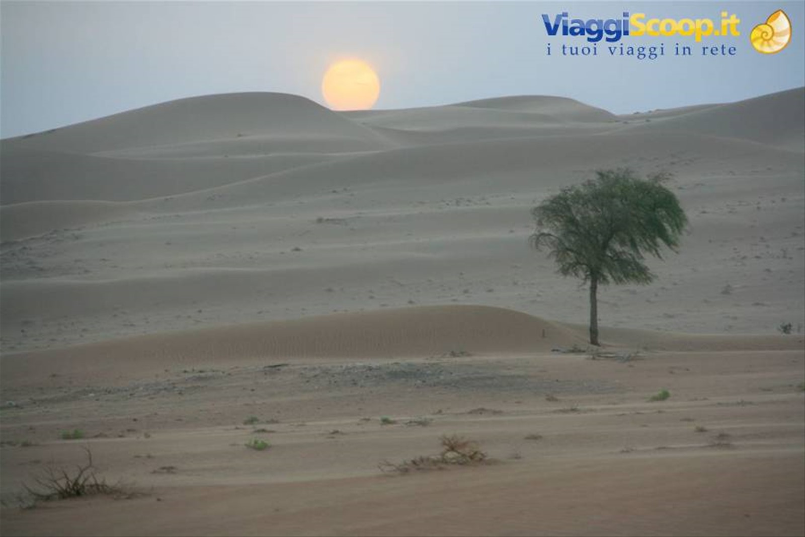 Foto di viaggio in OMAN