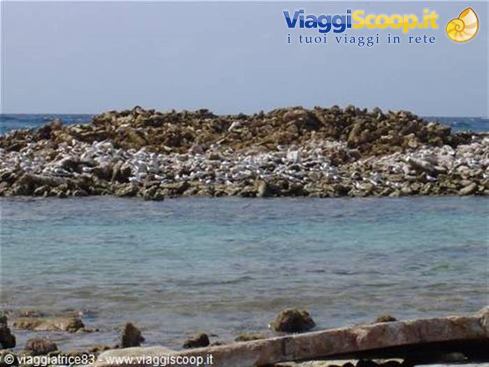 Foto di viaggio in ARUBA