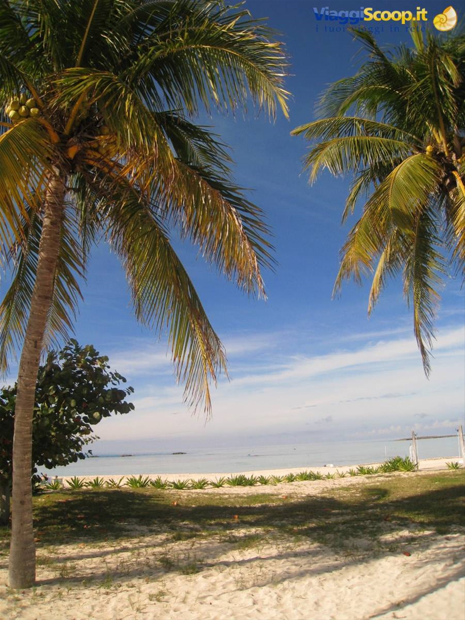 Foto di viaggio in BAHAMAS