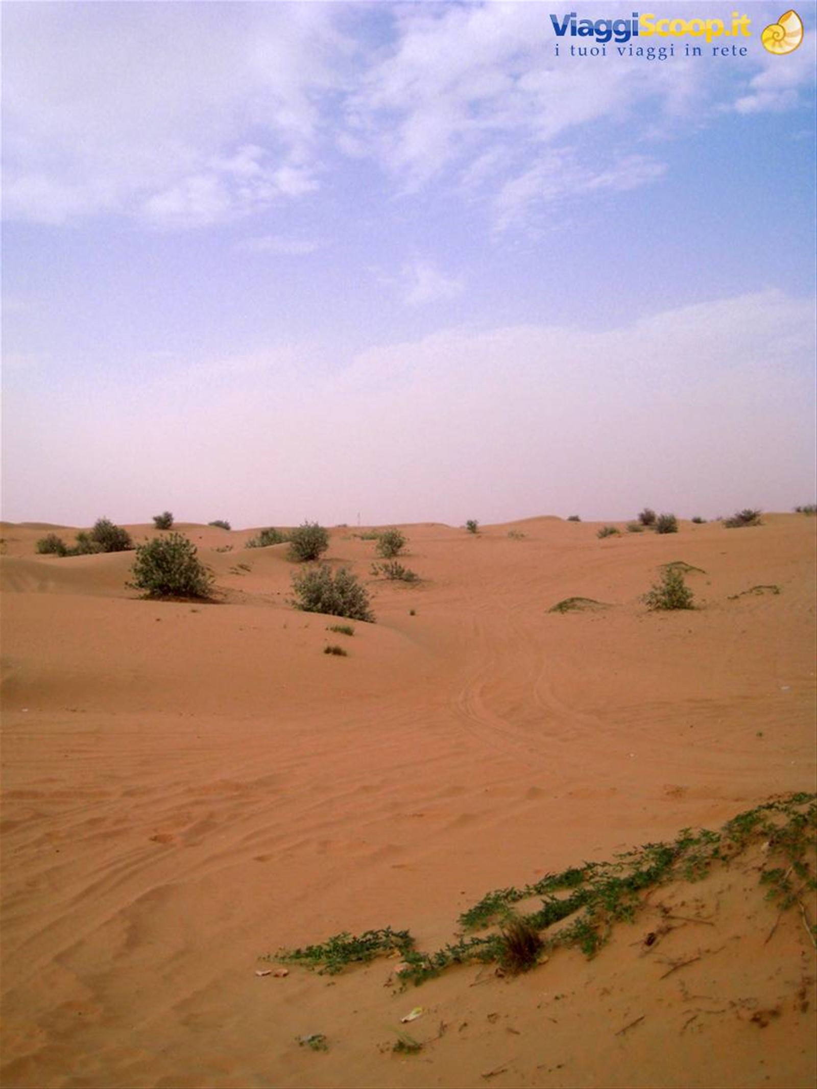 Safari Tour DESERT ADVENTURES TOURISM DUBAI