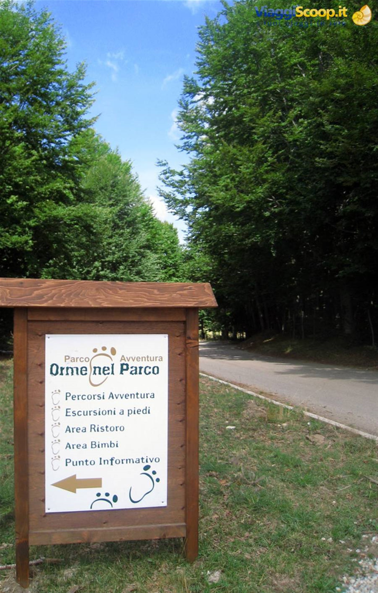 Orme nel parco Zagarise (Cz) Sila Piccola