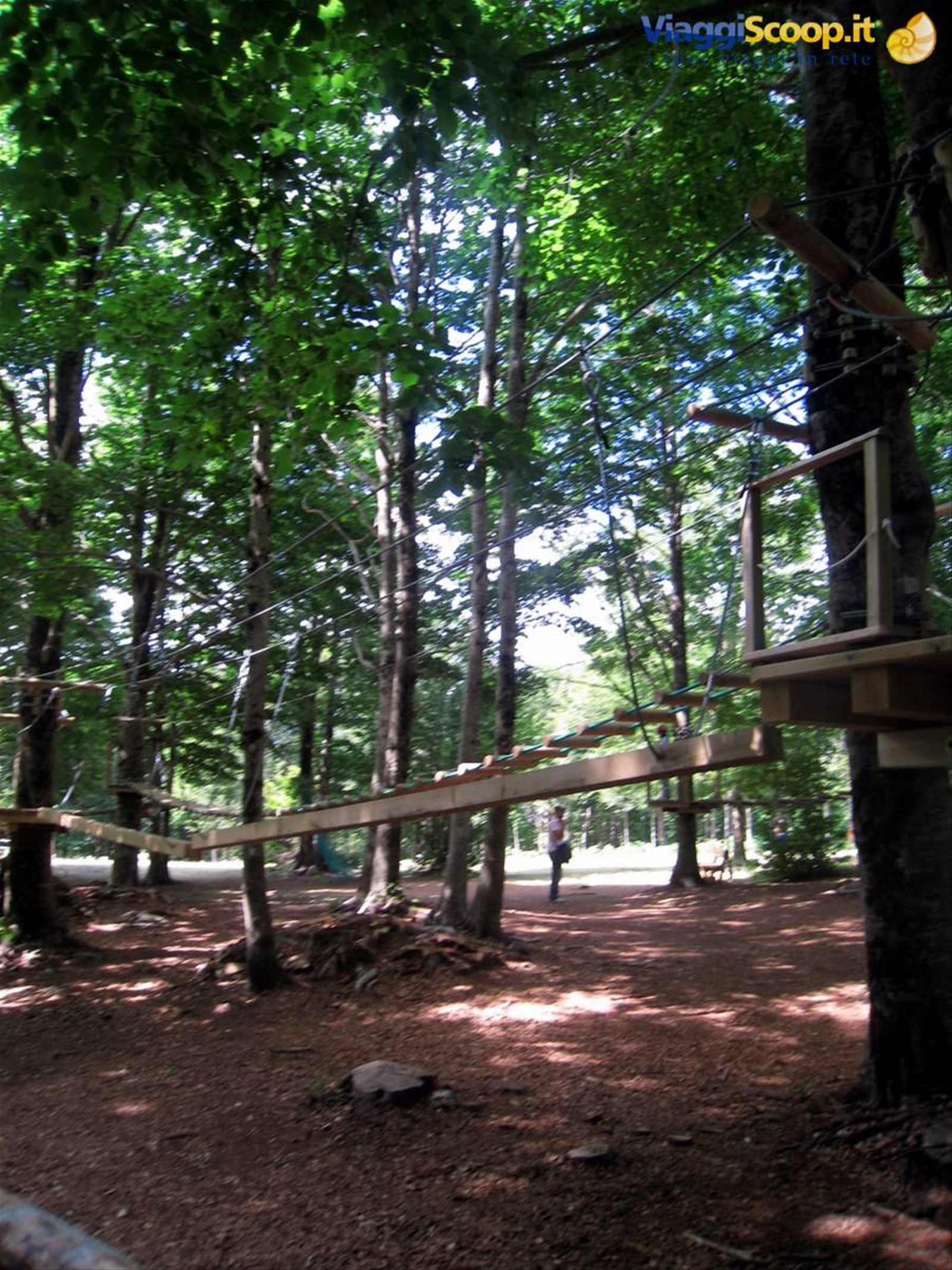 i primi percorsi sugli alberi..