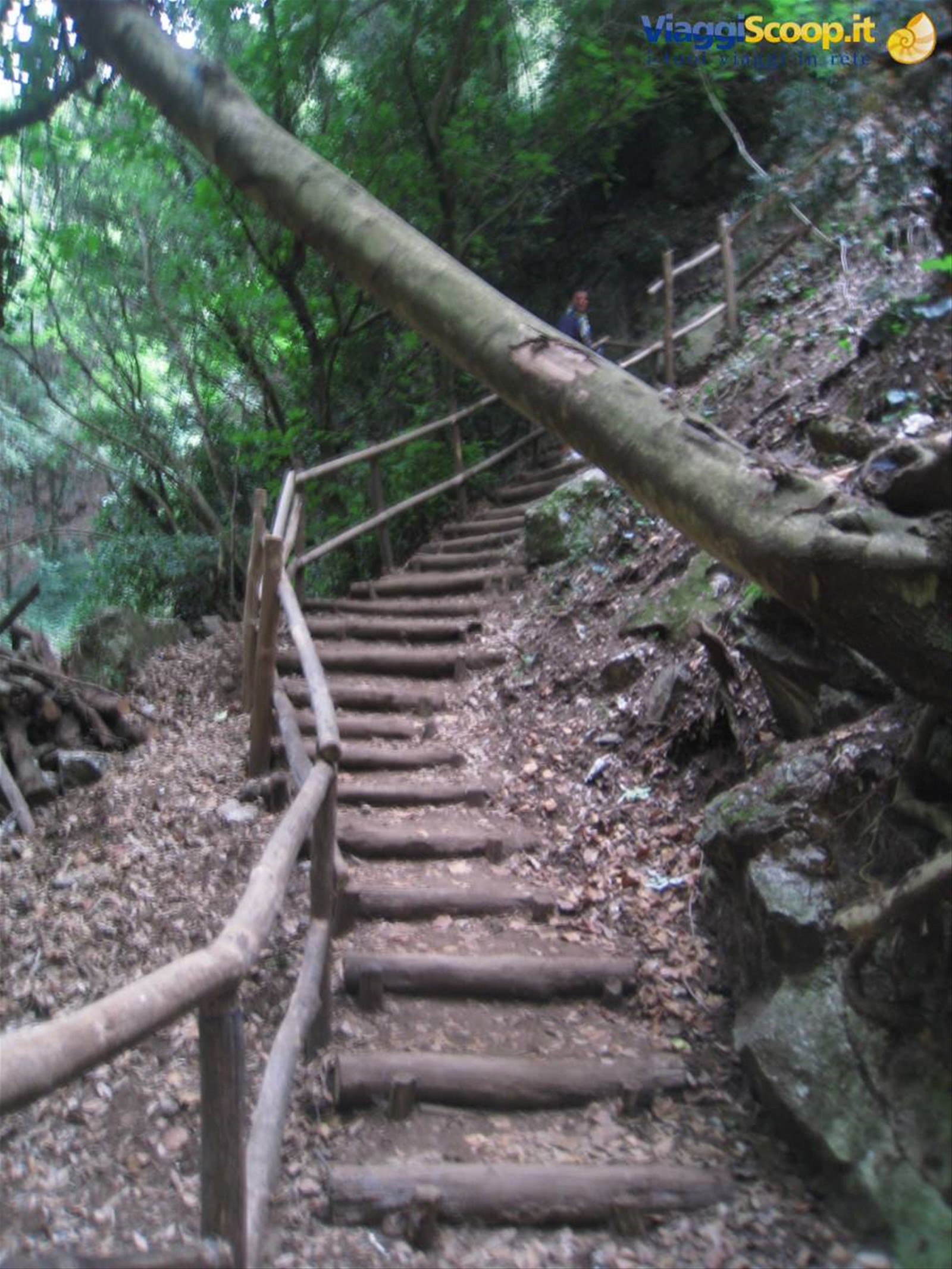 percorso tra il fiume