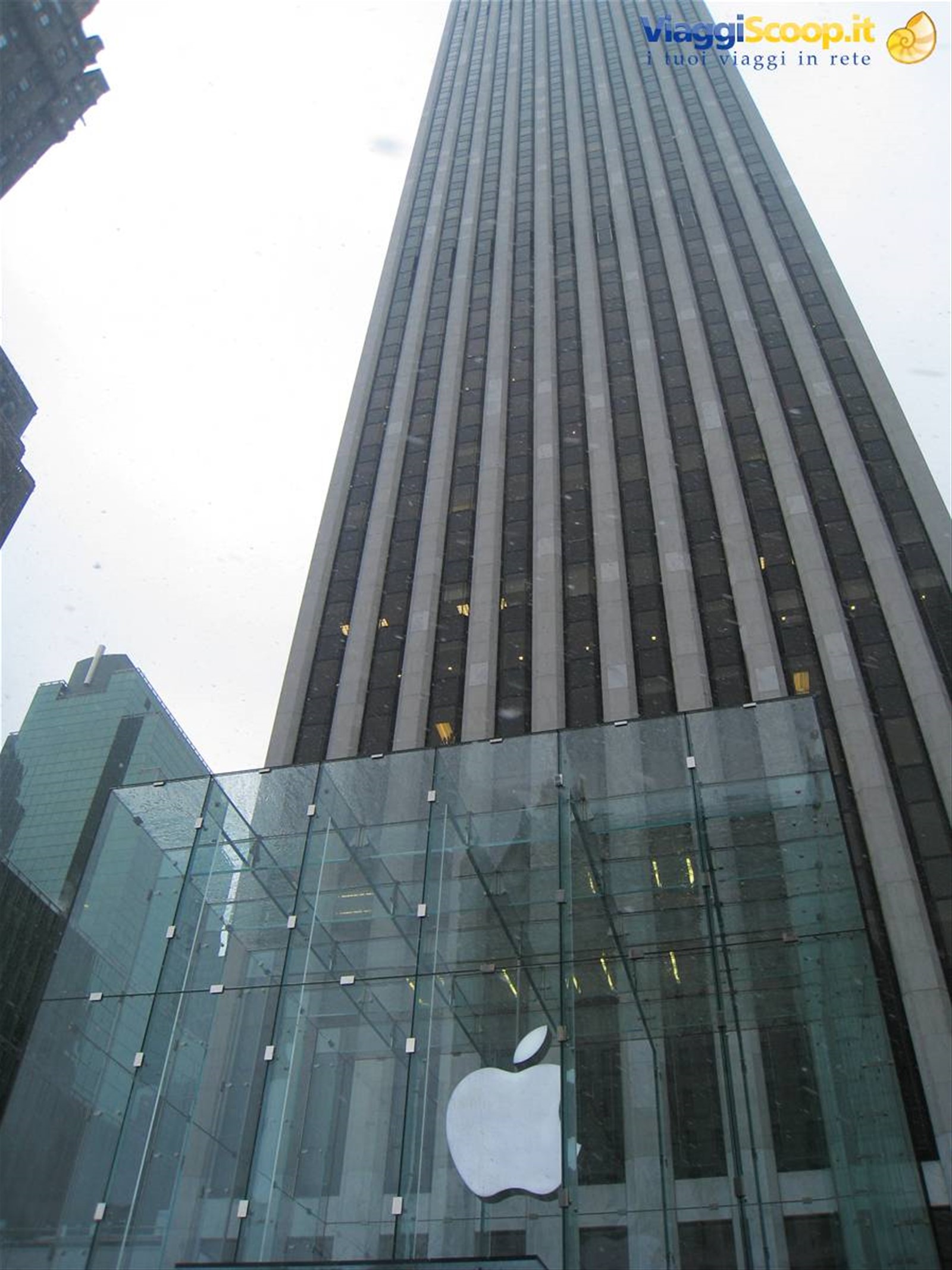 Apple Store