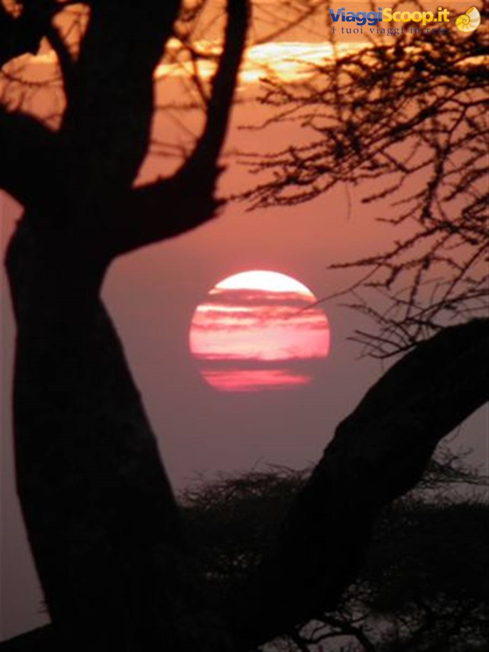Tramonto nel Serengeti