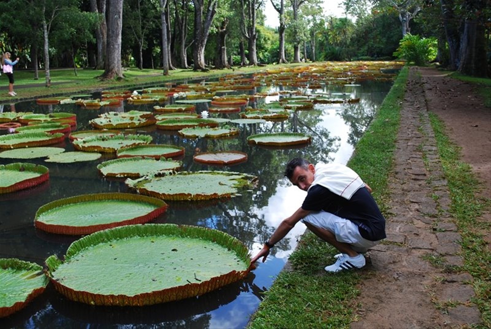 Foto di viaggio in MAURITIUS