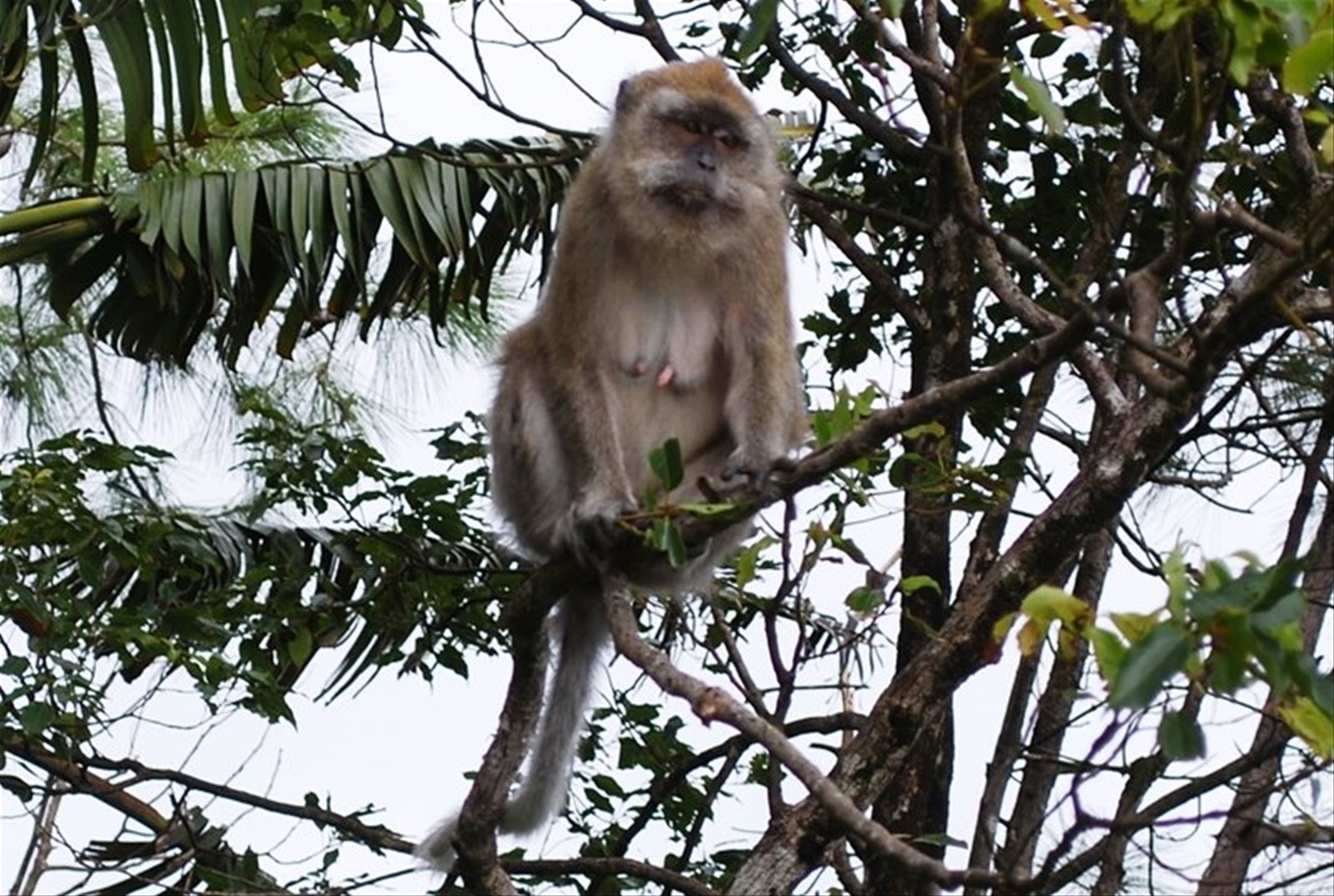 Foto di viaggio in MAURITIUS
