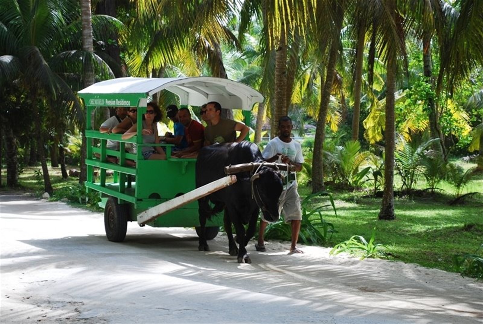 Foto di viaggio in SEYCHELLES
