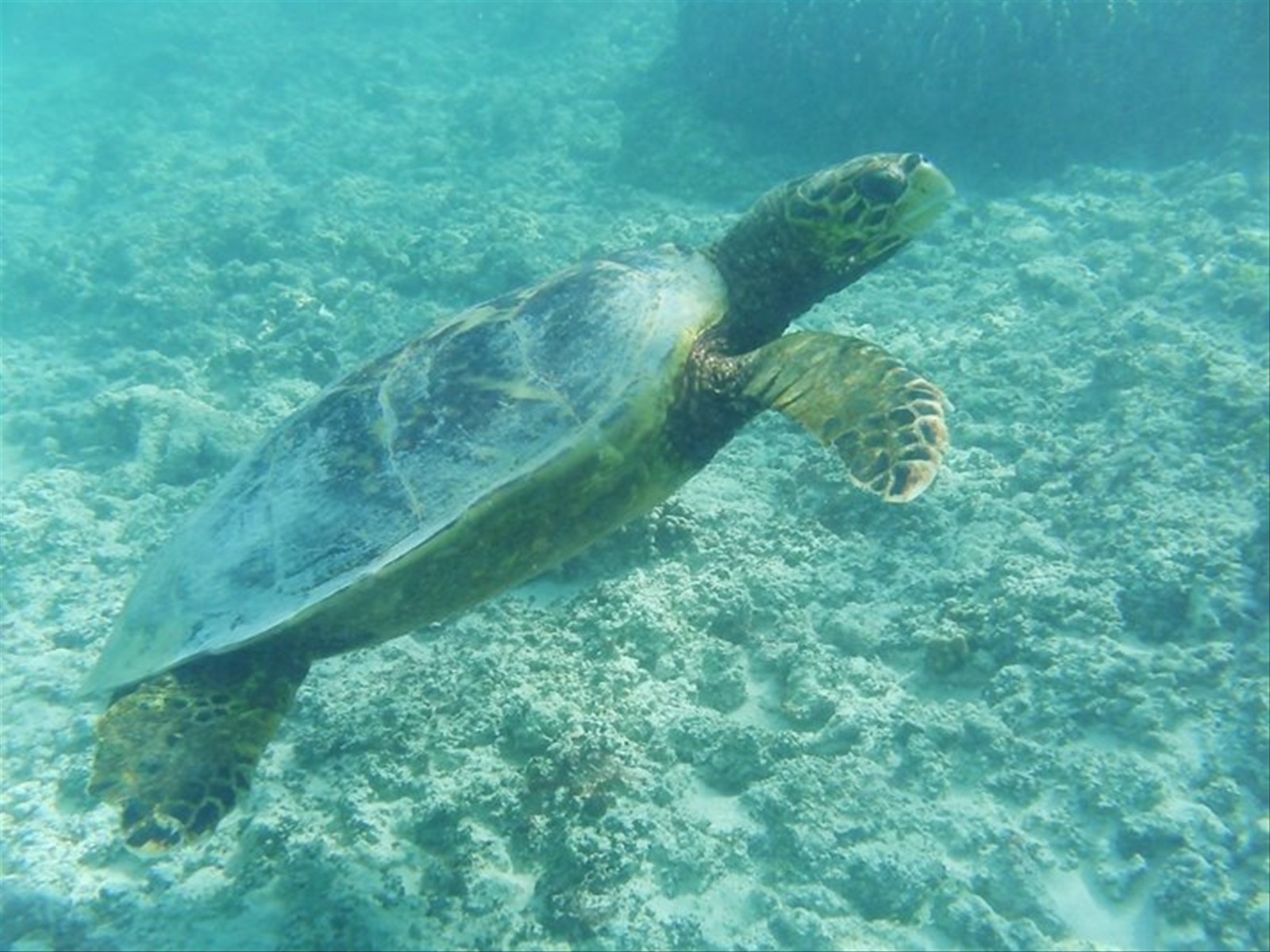 Foto di viaggio in SEYCHELLES