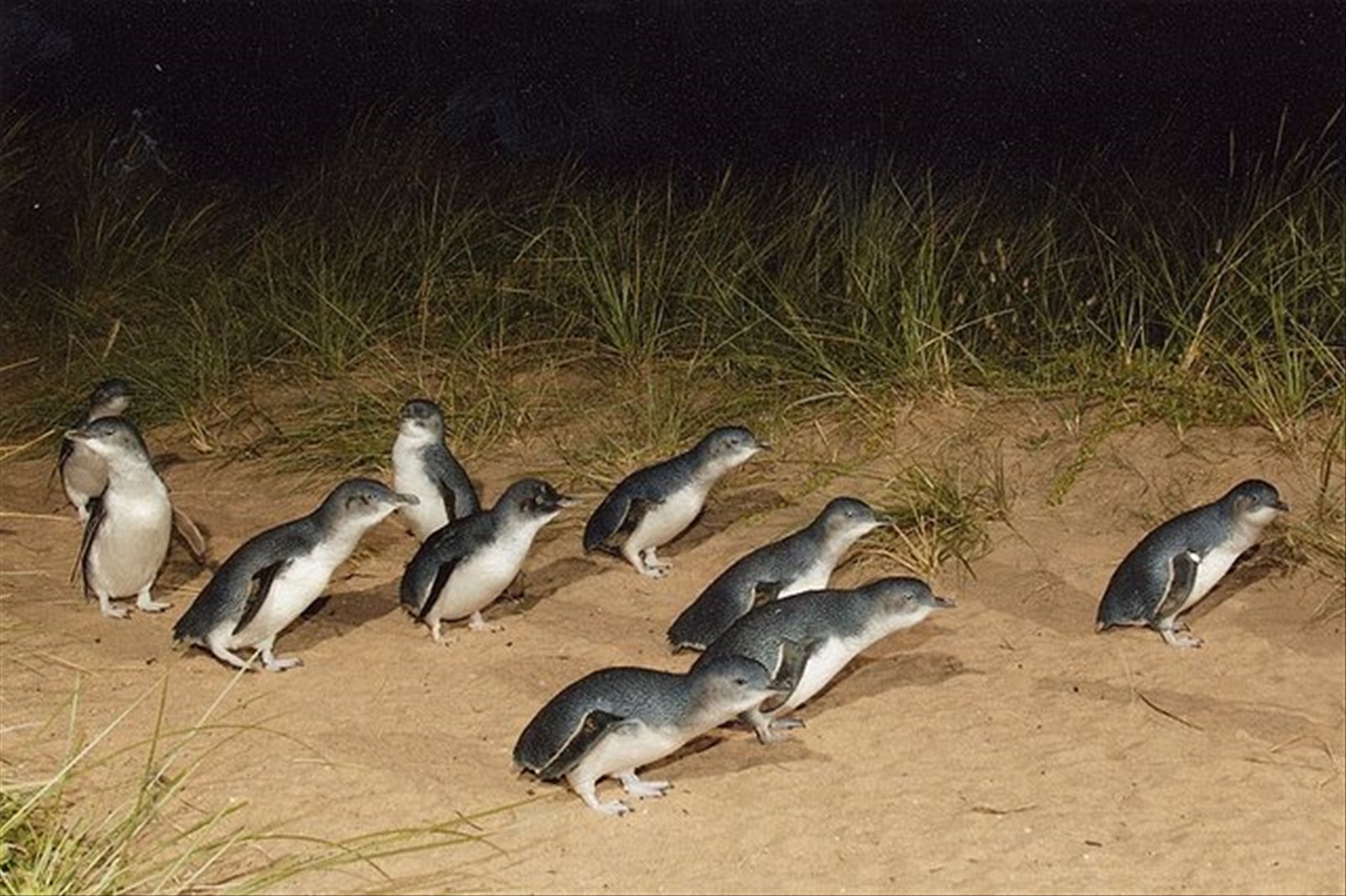 Foto di viaggio in AUSTRALIA