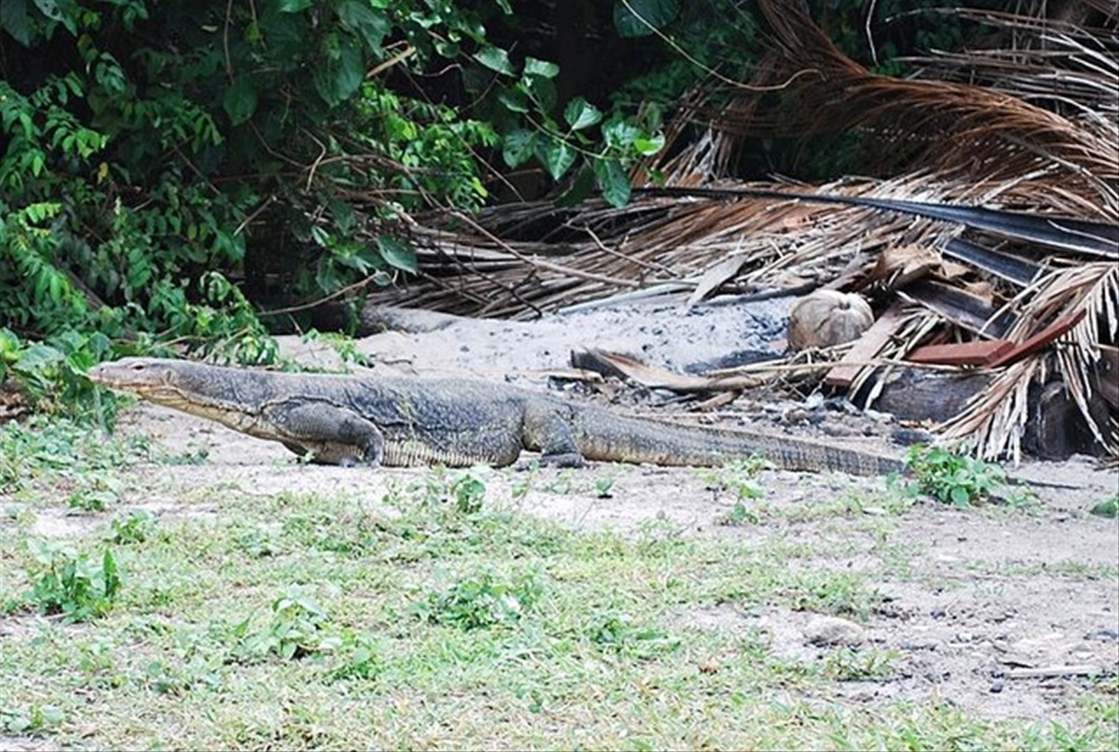 Foto di viaggio in MALESIA