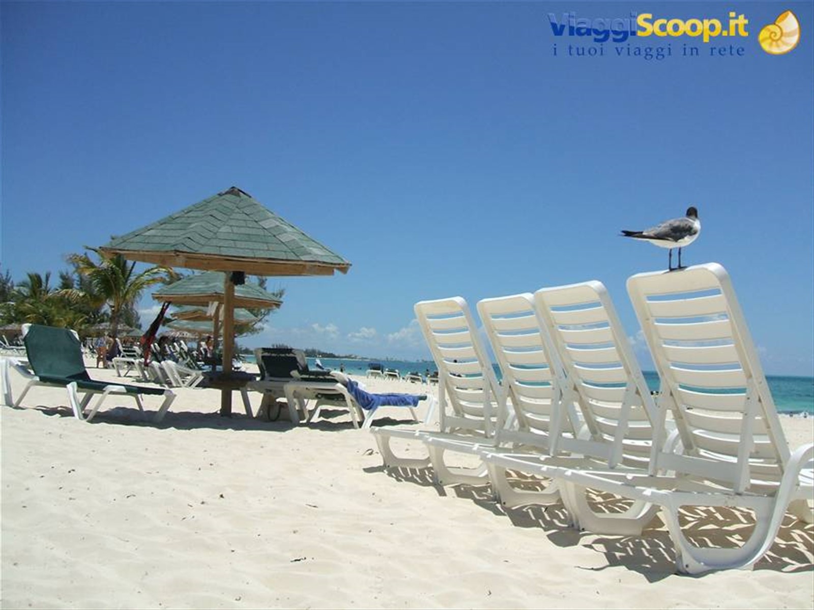 La spiaggia