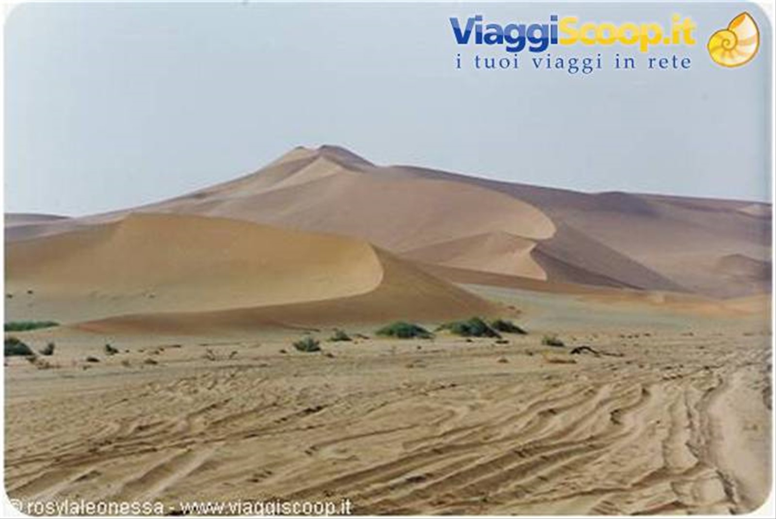 ...dune...