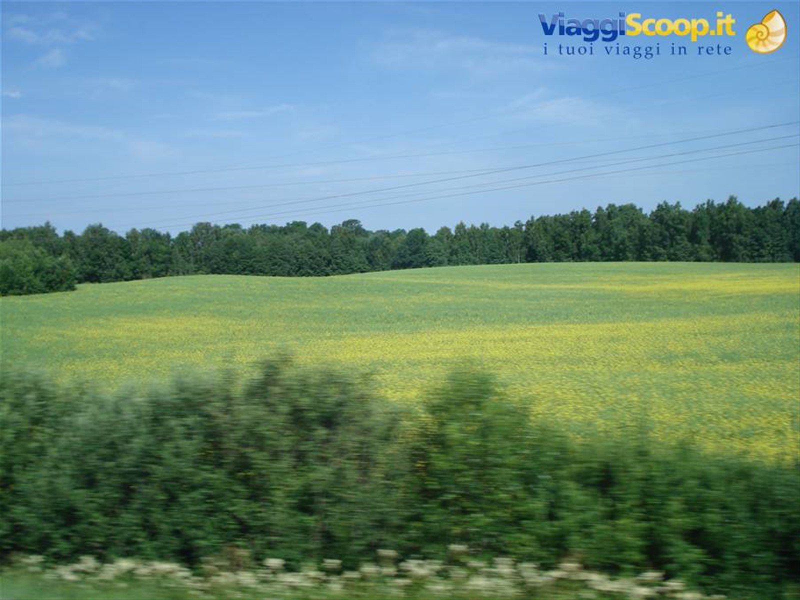 Foto di viaggio in LITUANIA